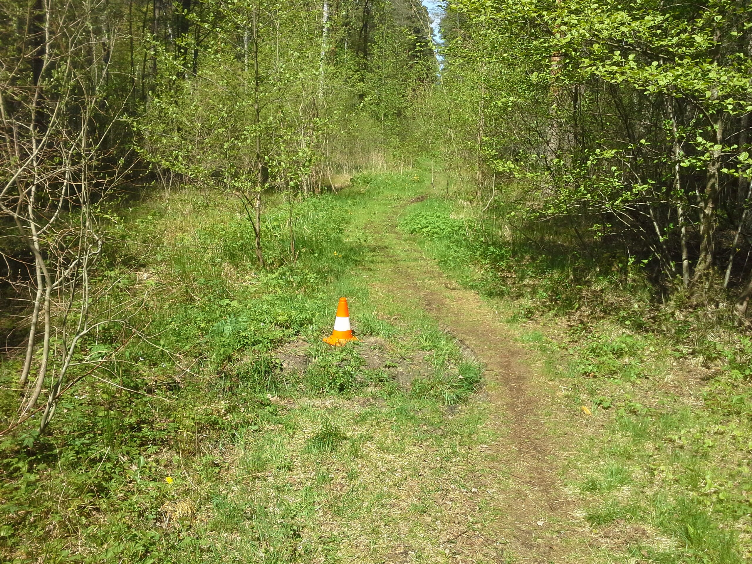 Apkārtnes foto