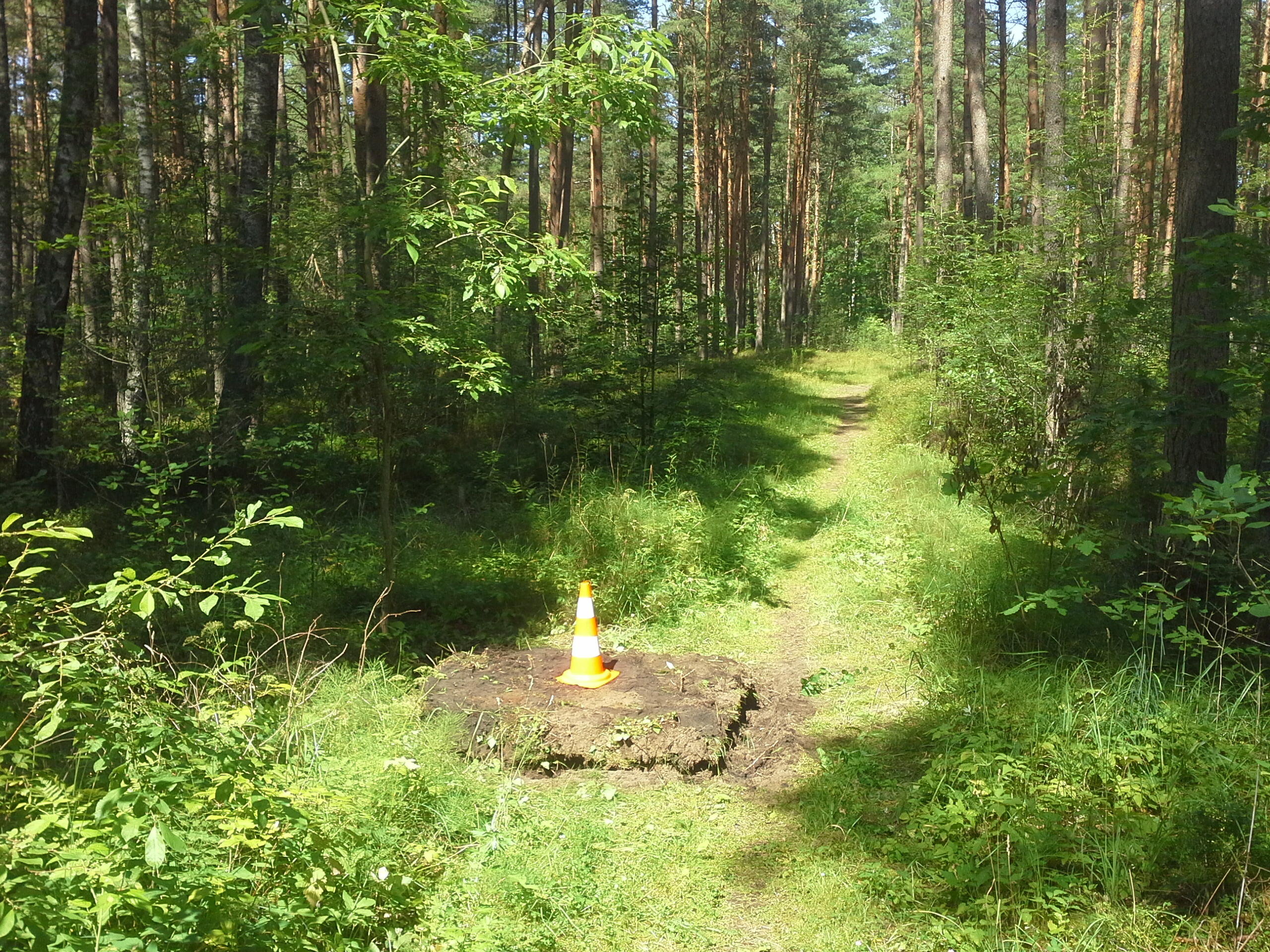 Apkārtnes foto