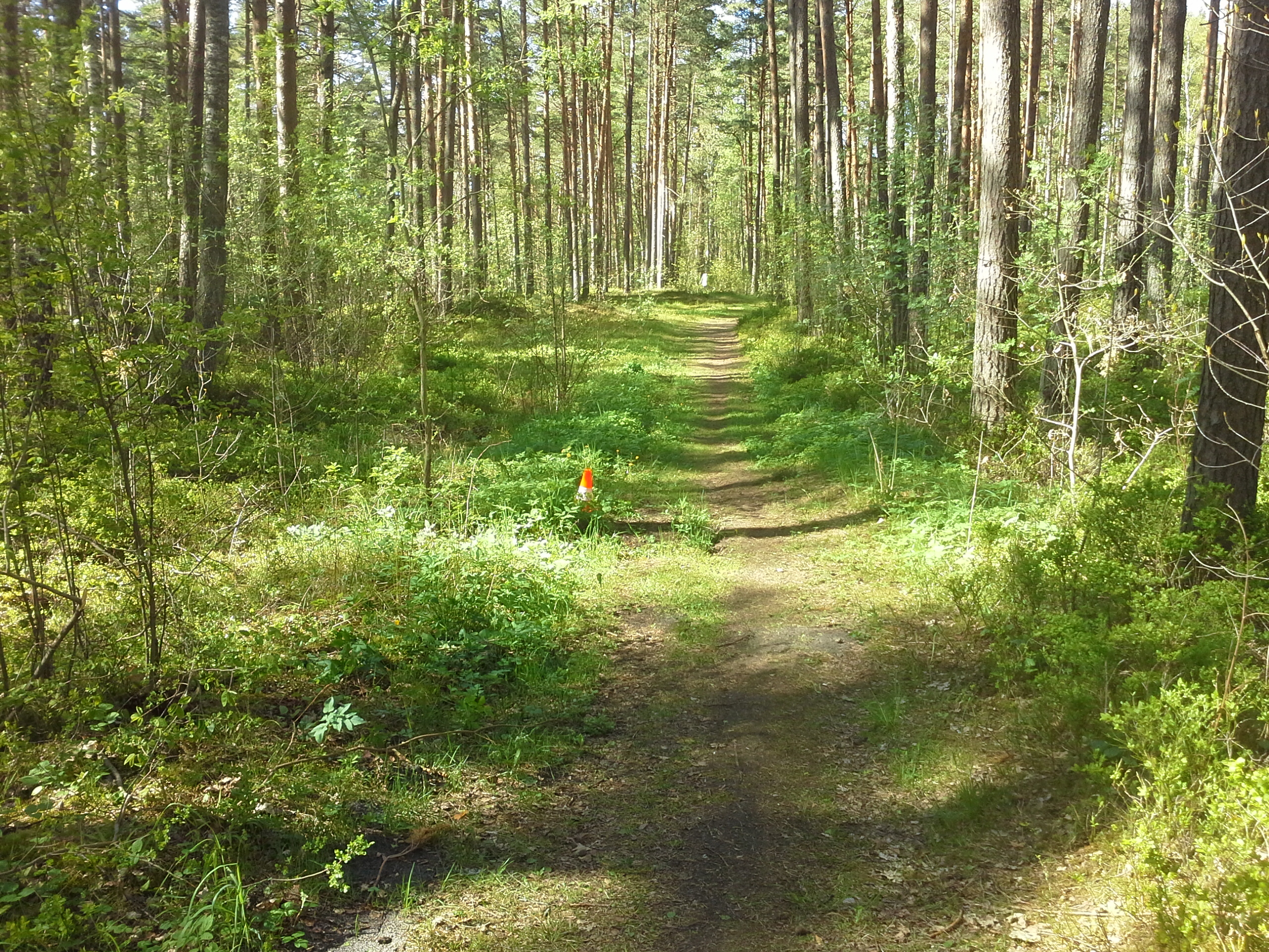 Apkārtnes foto