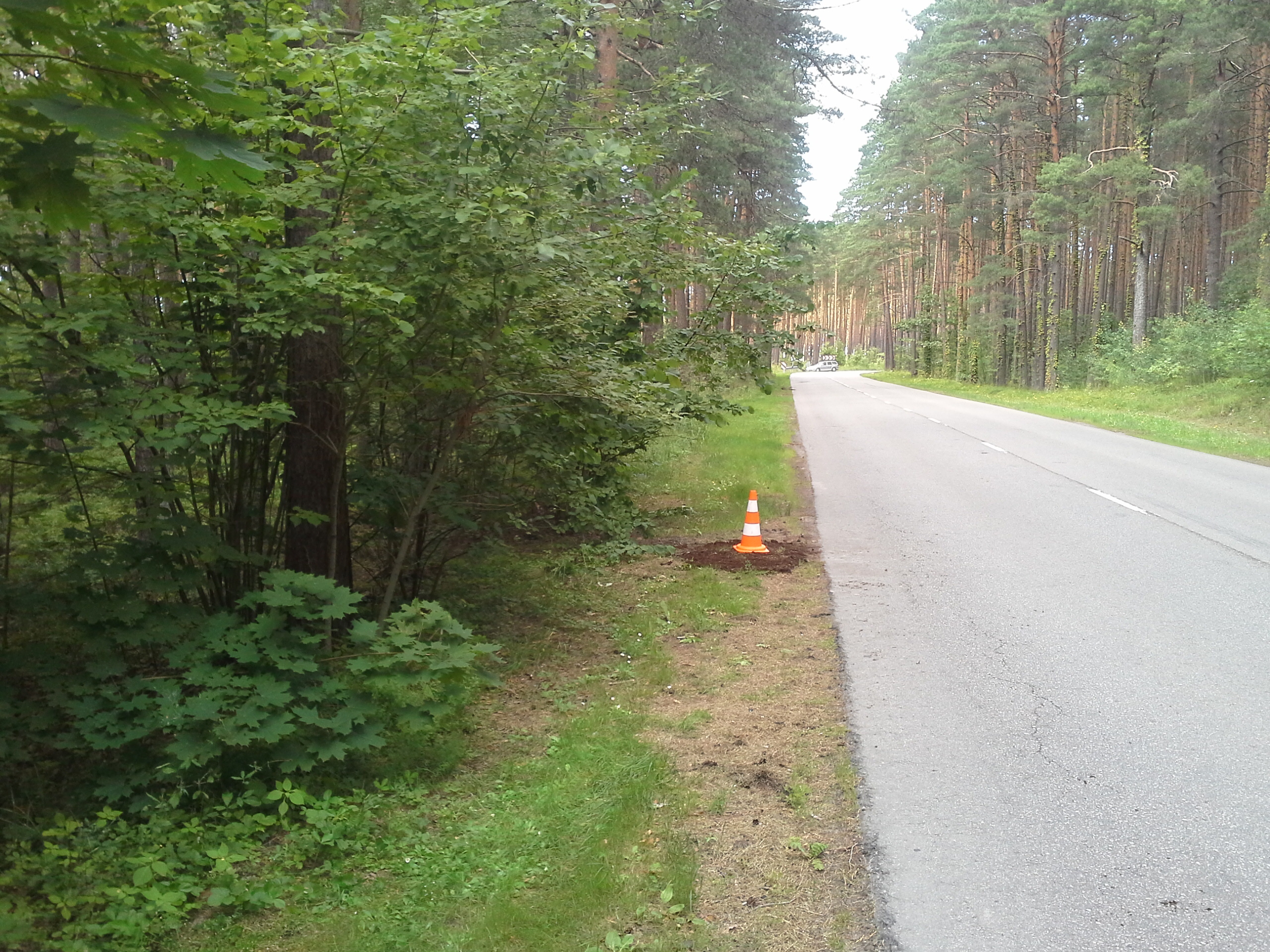 Apkārtnes foto