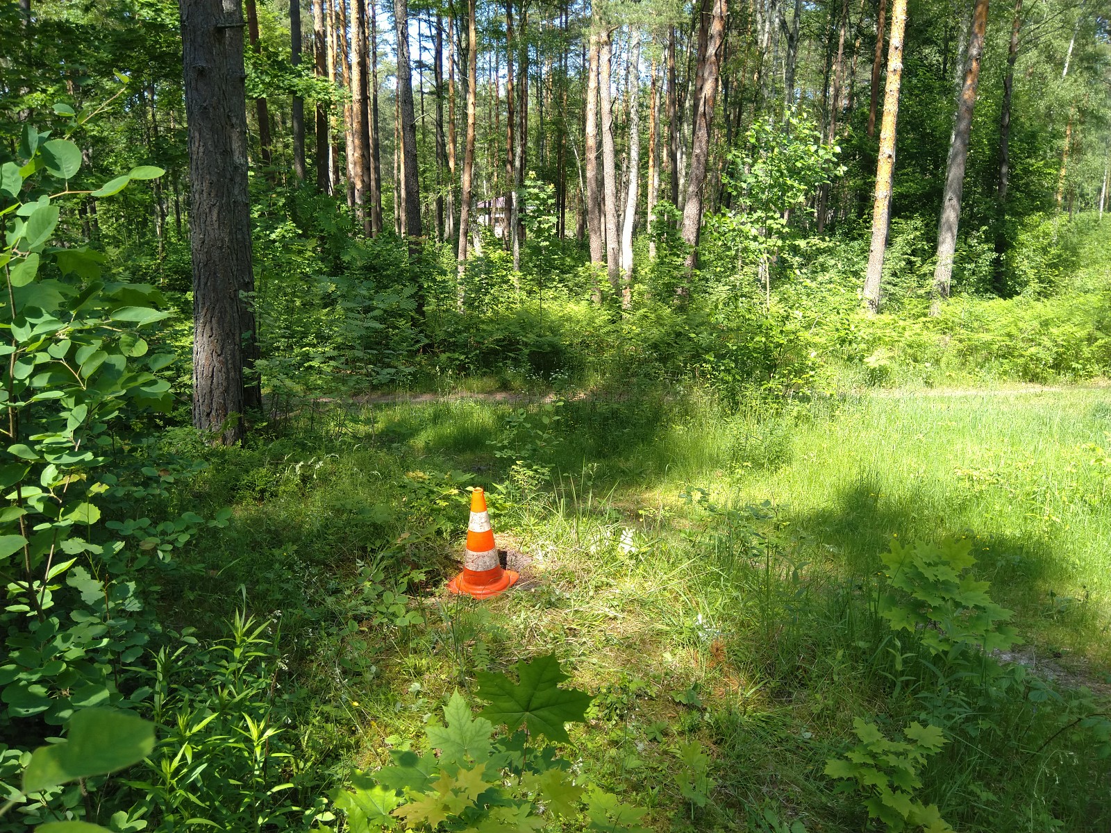 Apkārtnes foto