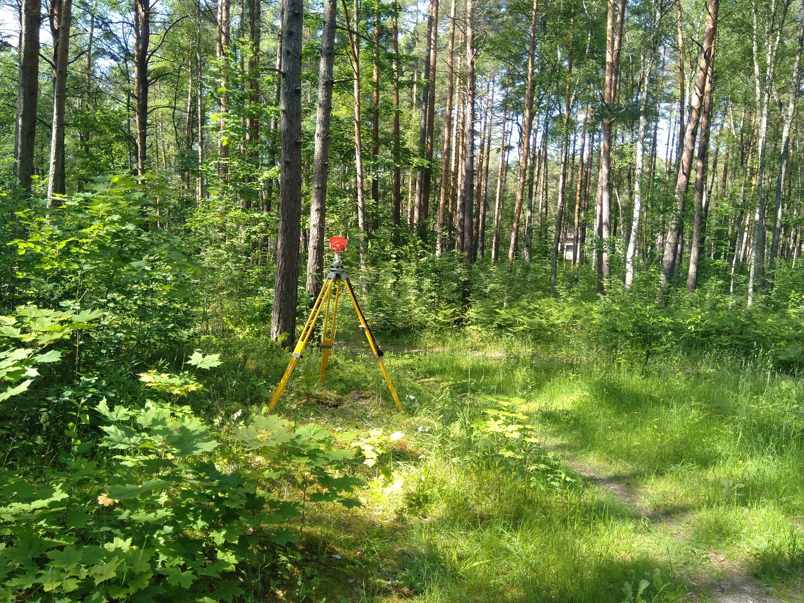 Apkārtnes foto