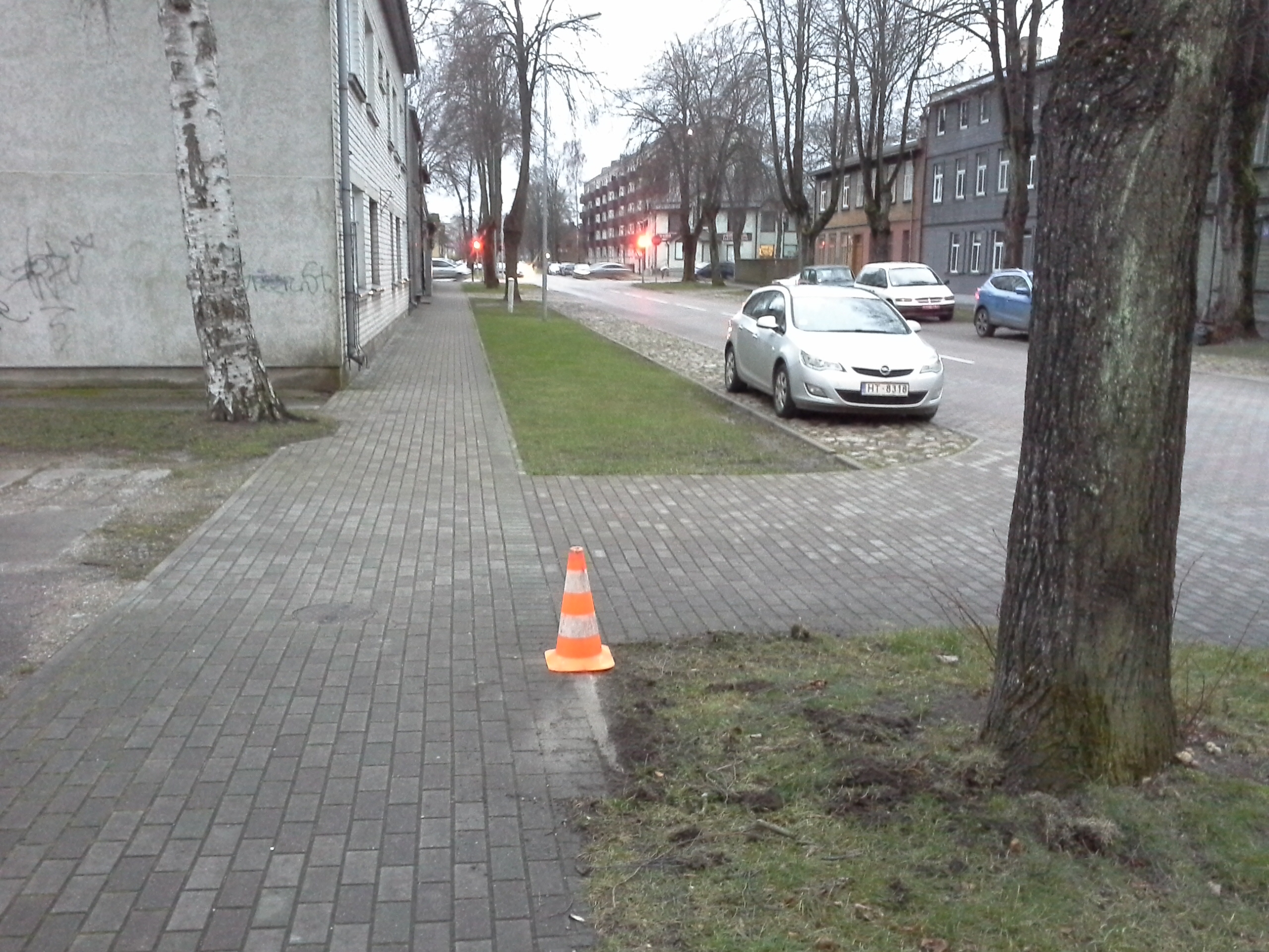 Apkārtnes foto