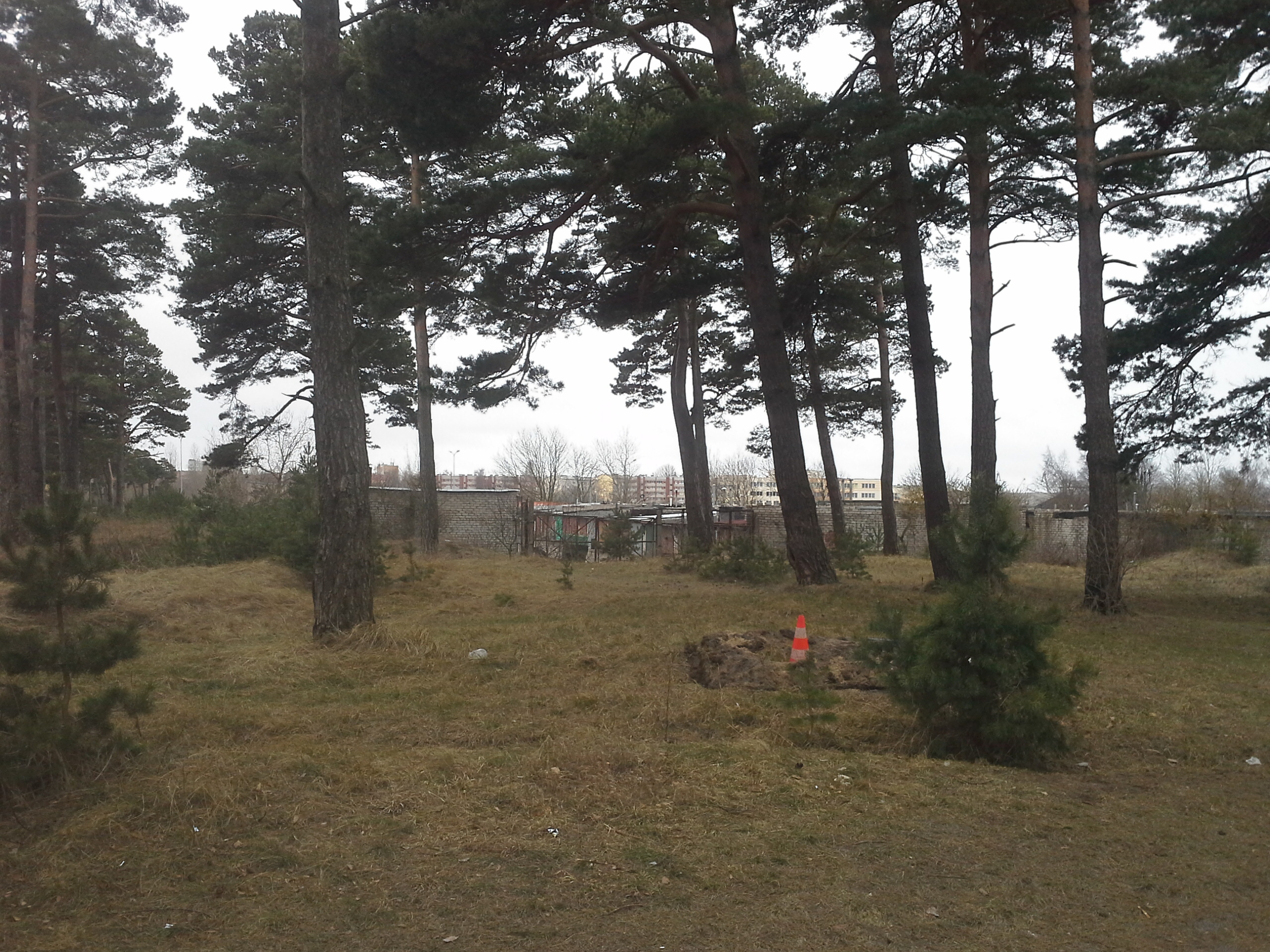 Apkārtnes foto