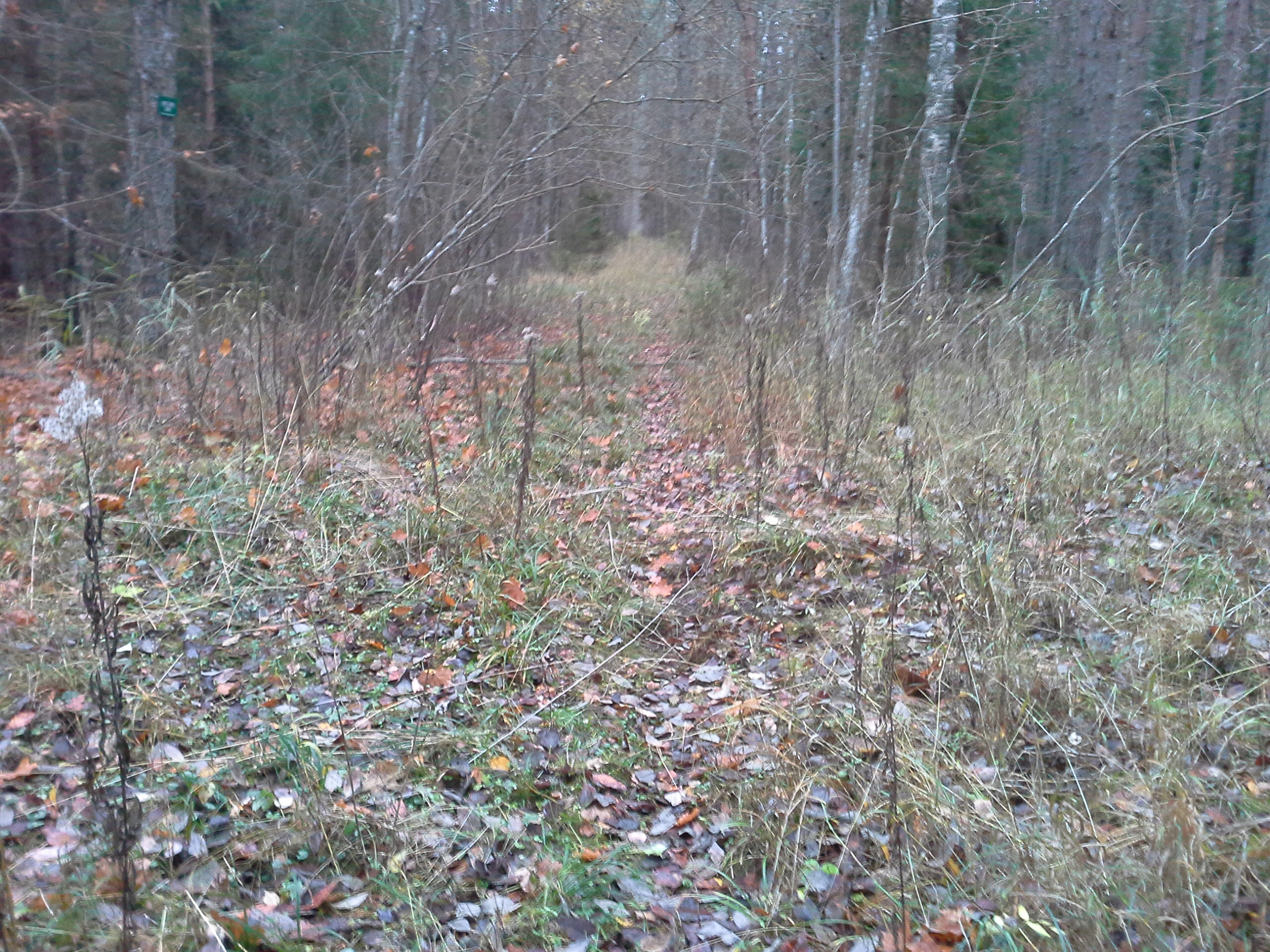 Apkārtnes foto