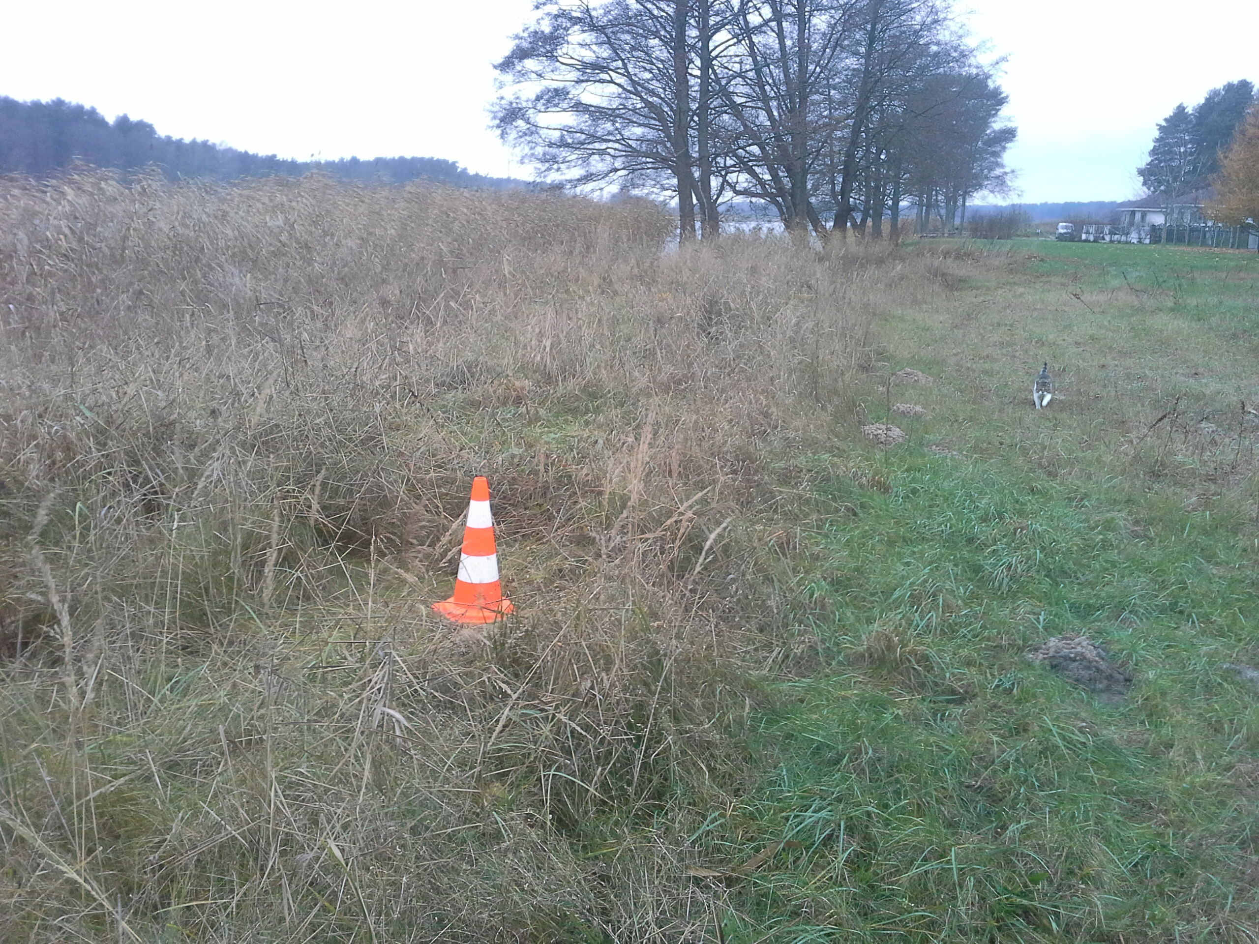 Apkārtnes foto