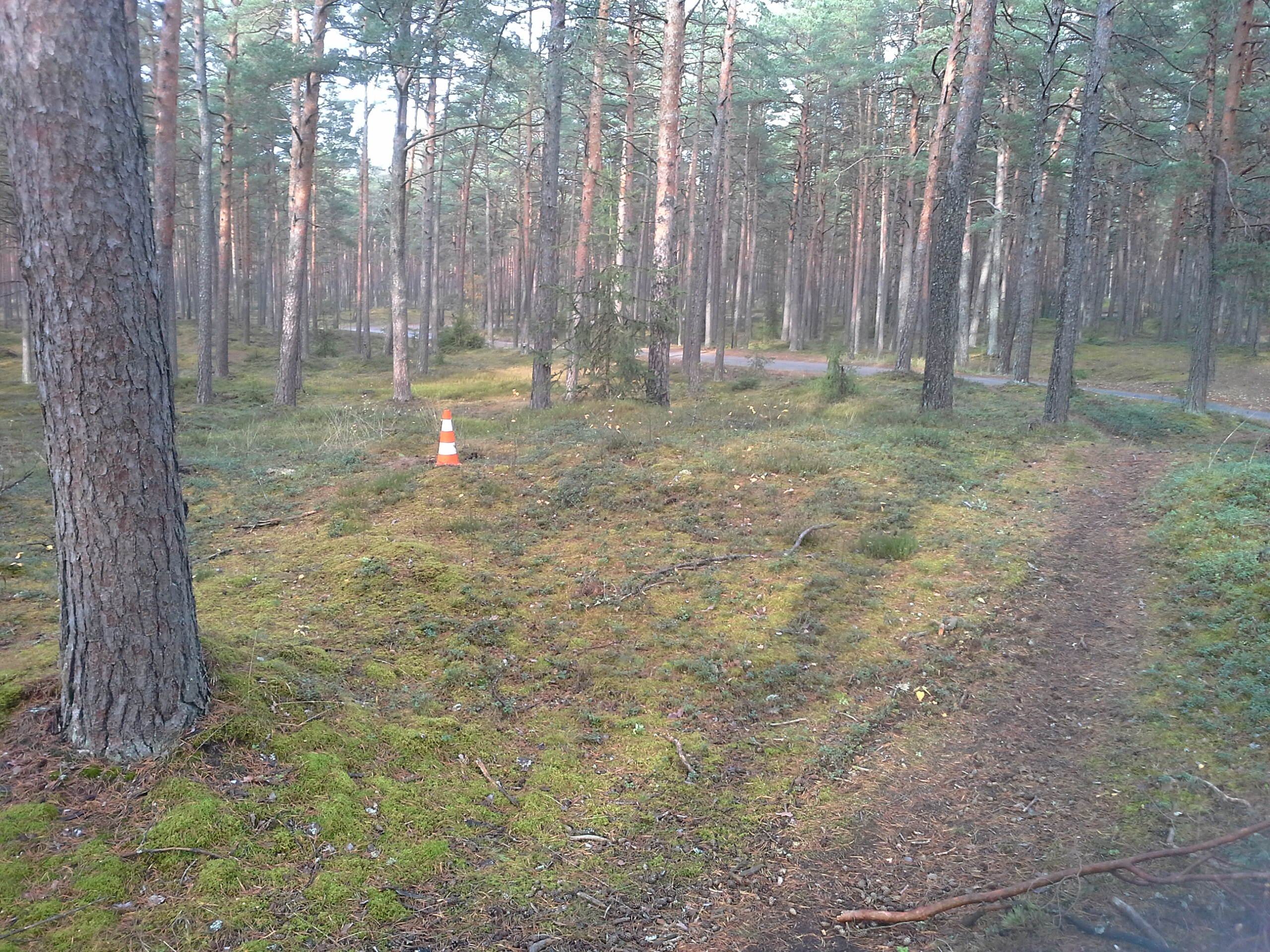 Apkārtnes foto