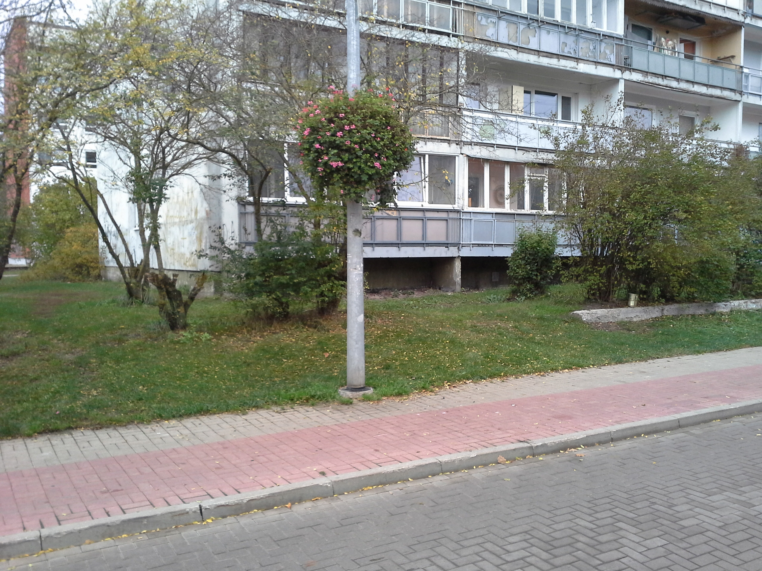 Apkārtnes foto