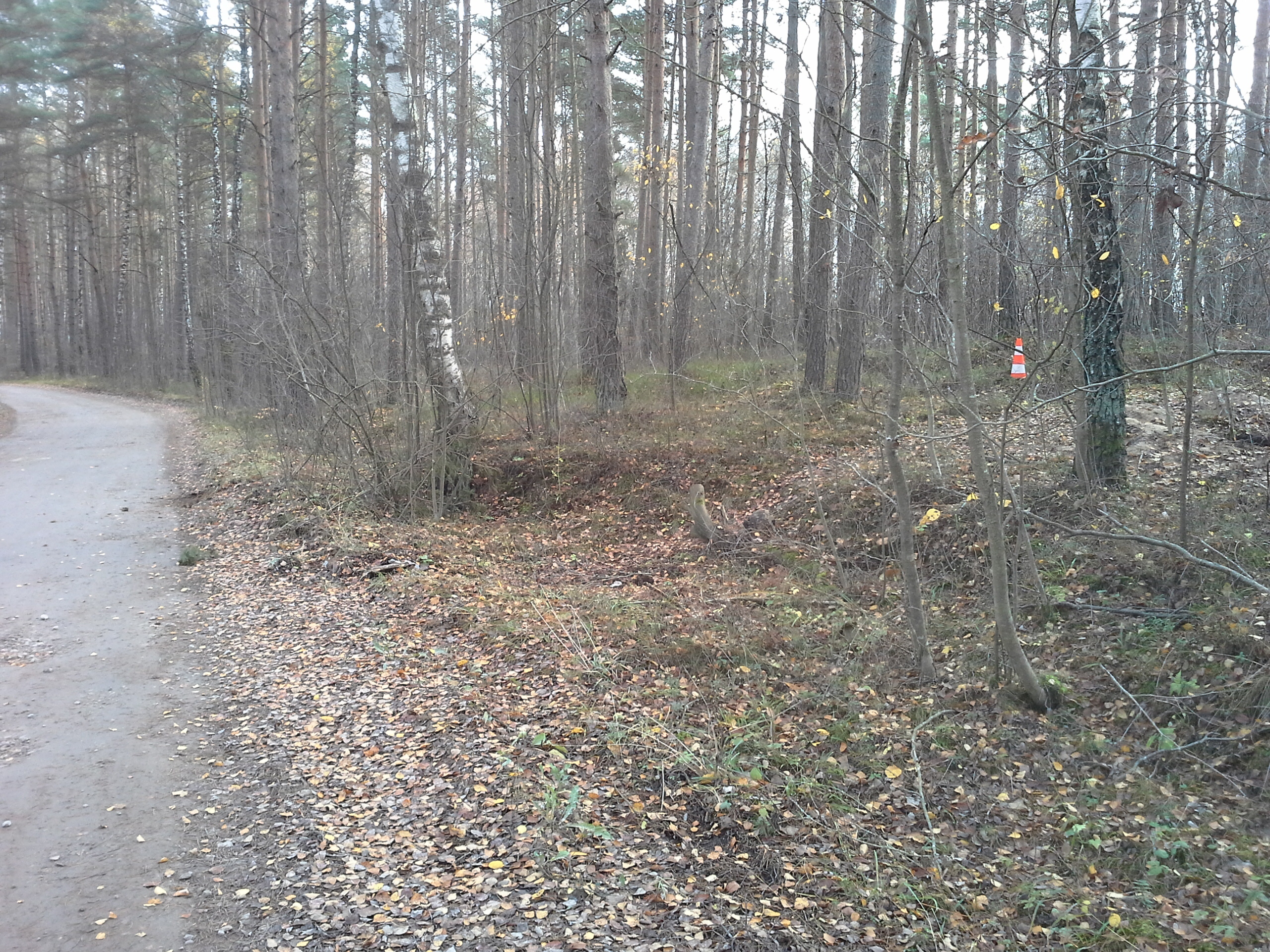 Apkārtnes foto