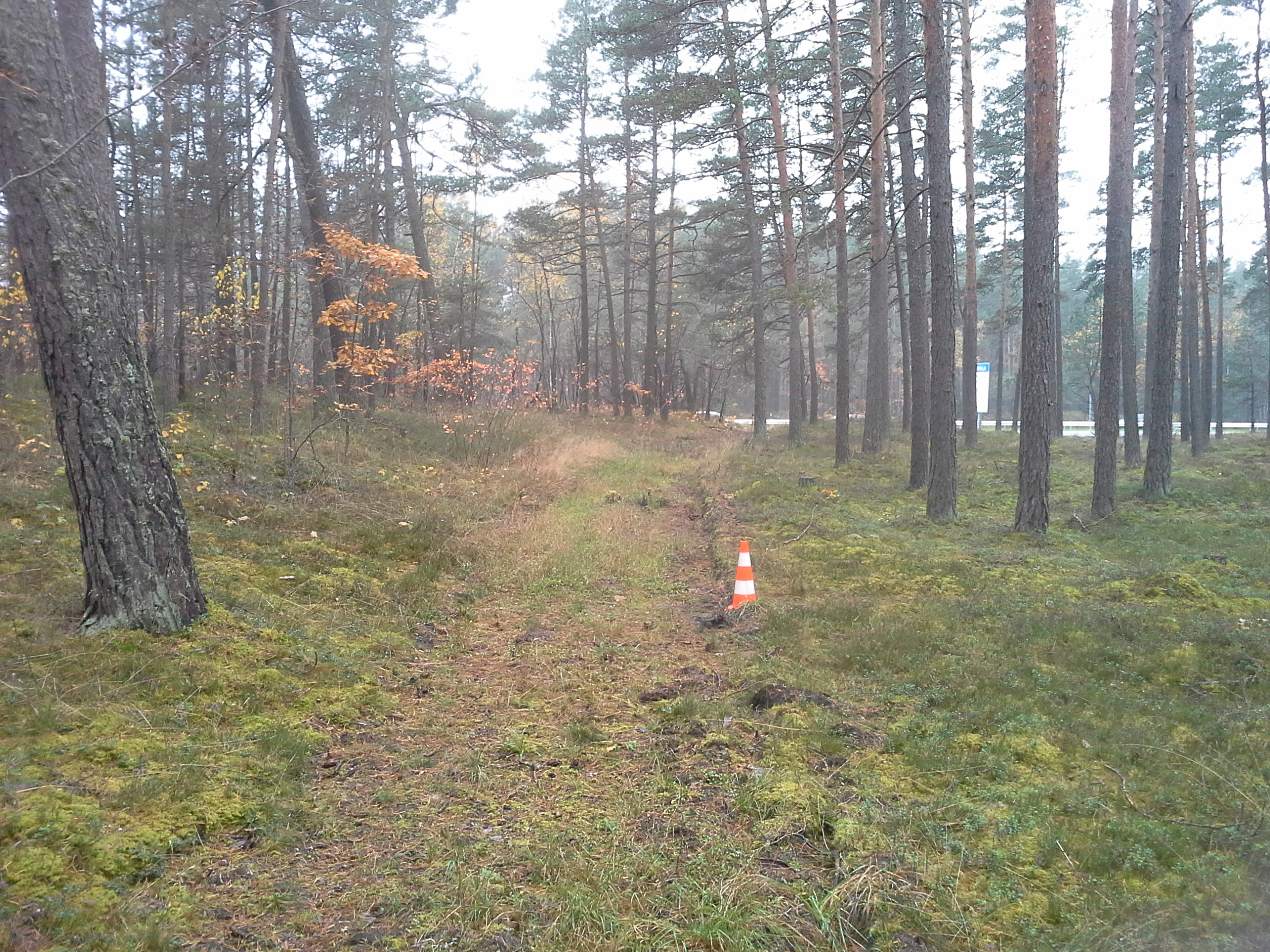 Apkārtnes foto