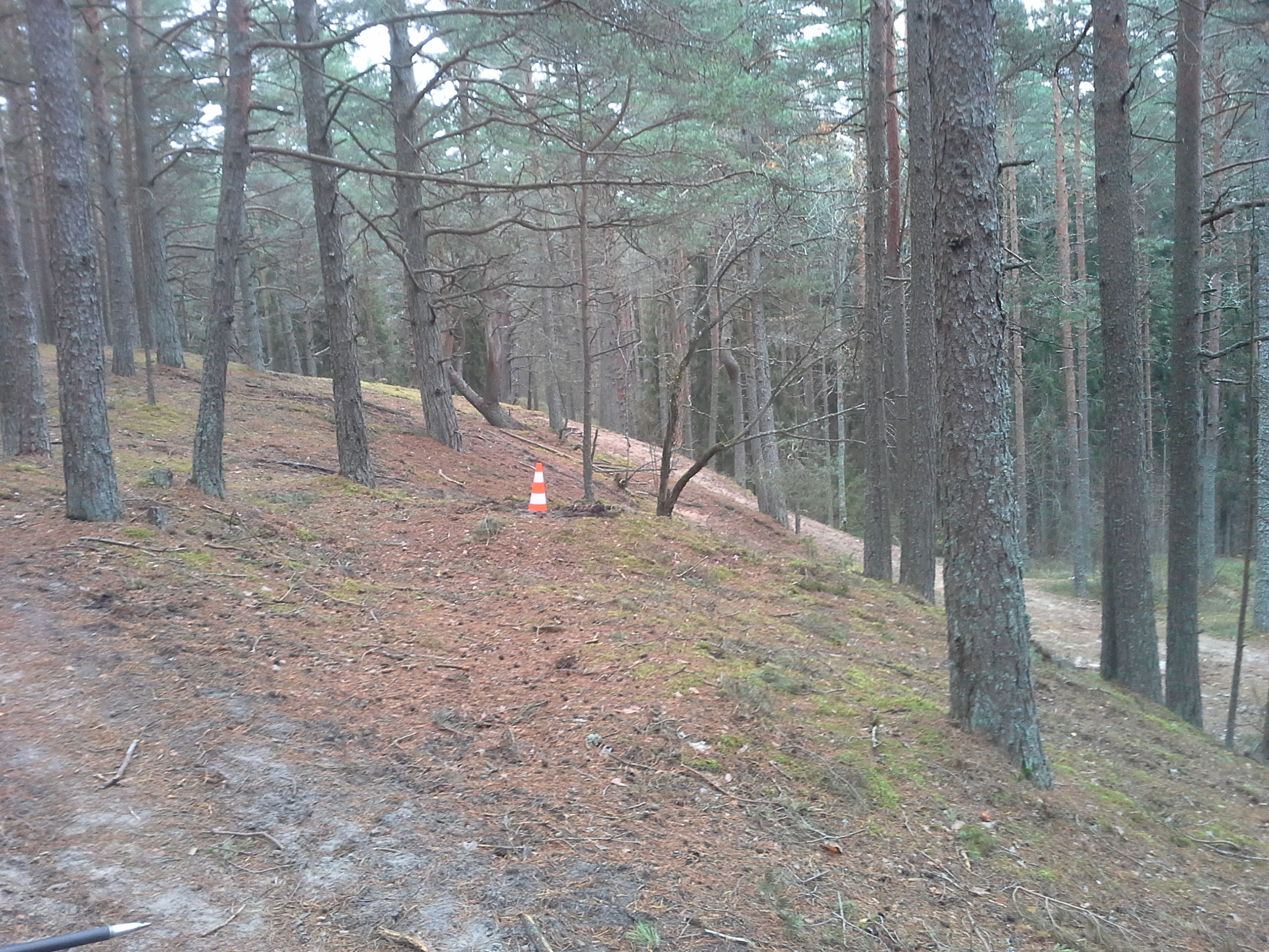 Apkārtnes foto