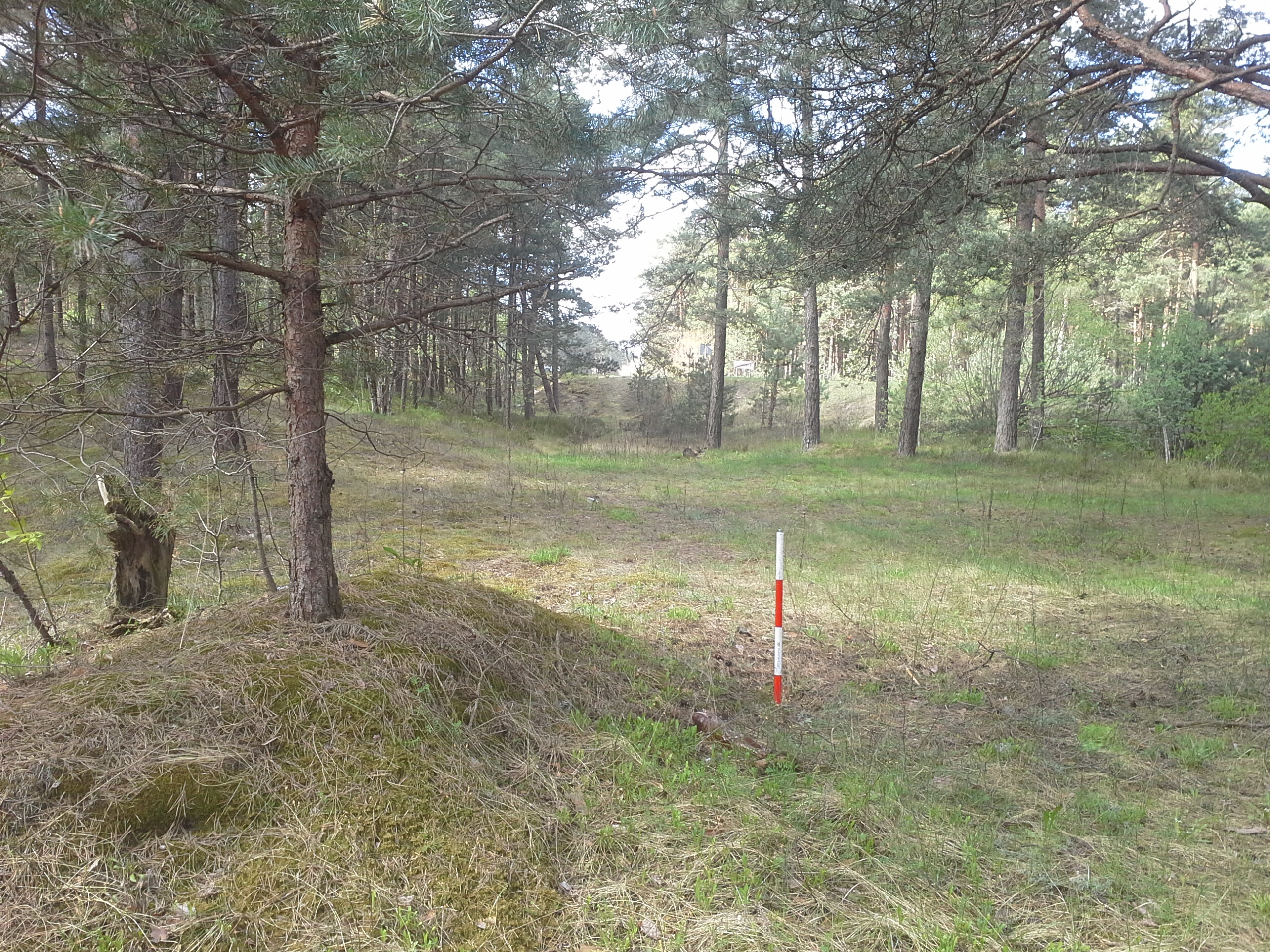 Apkārtnes foto