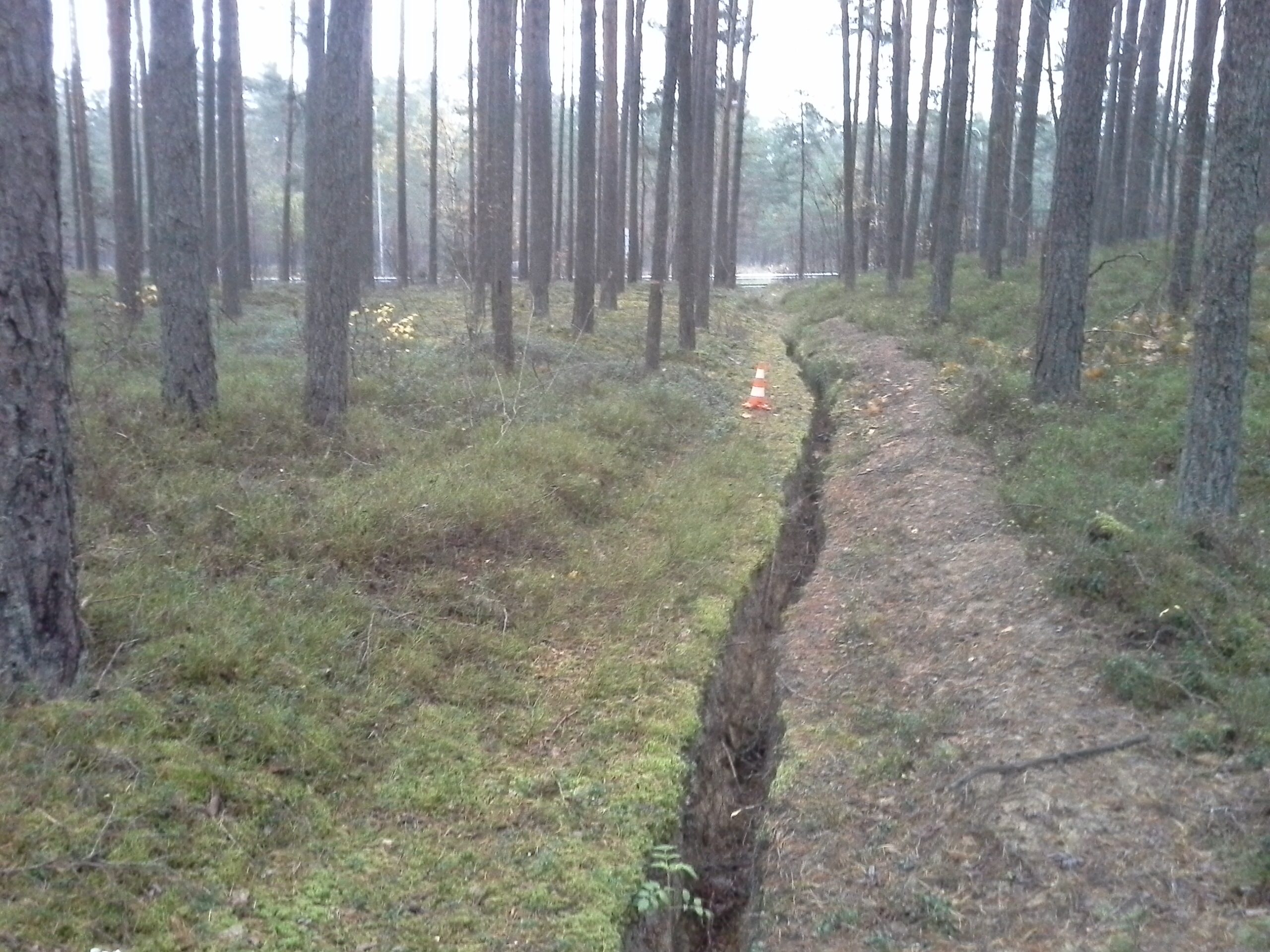Apkārtnes foto