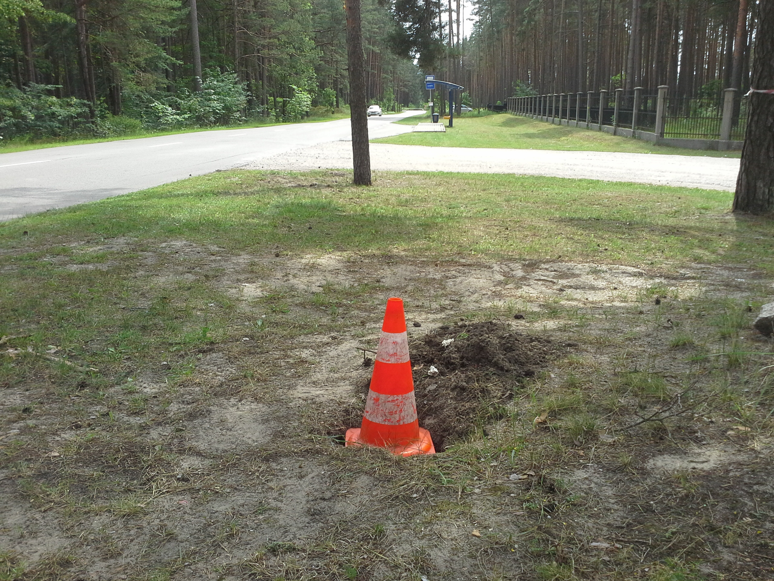 Apkārtnes foto