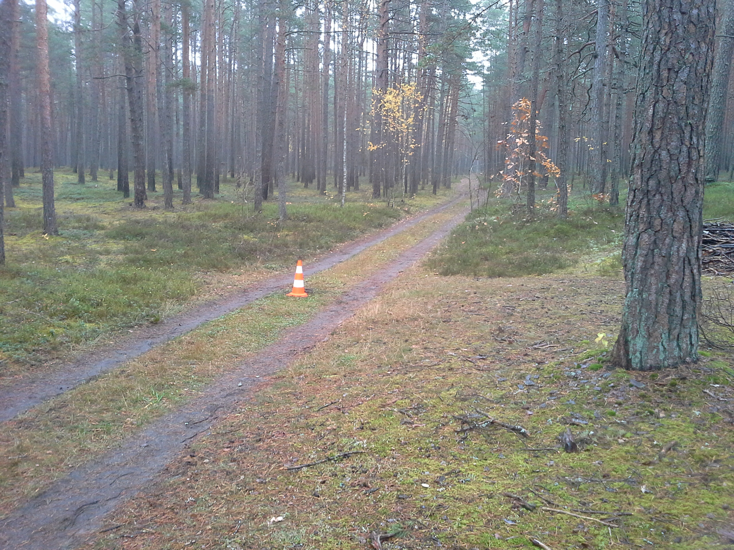 Apkārtnes foto
