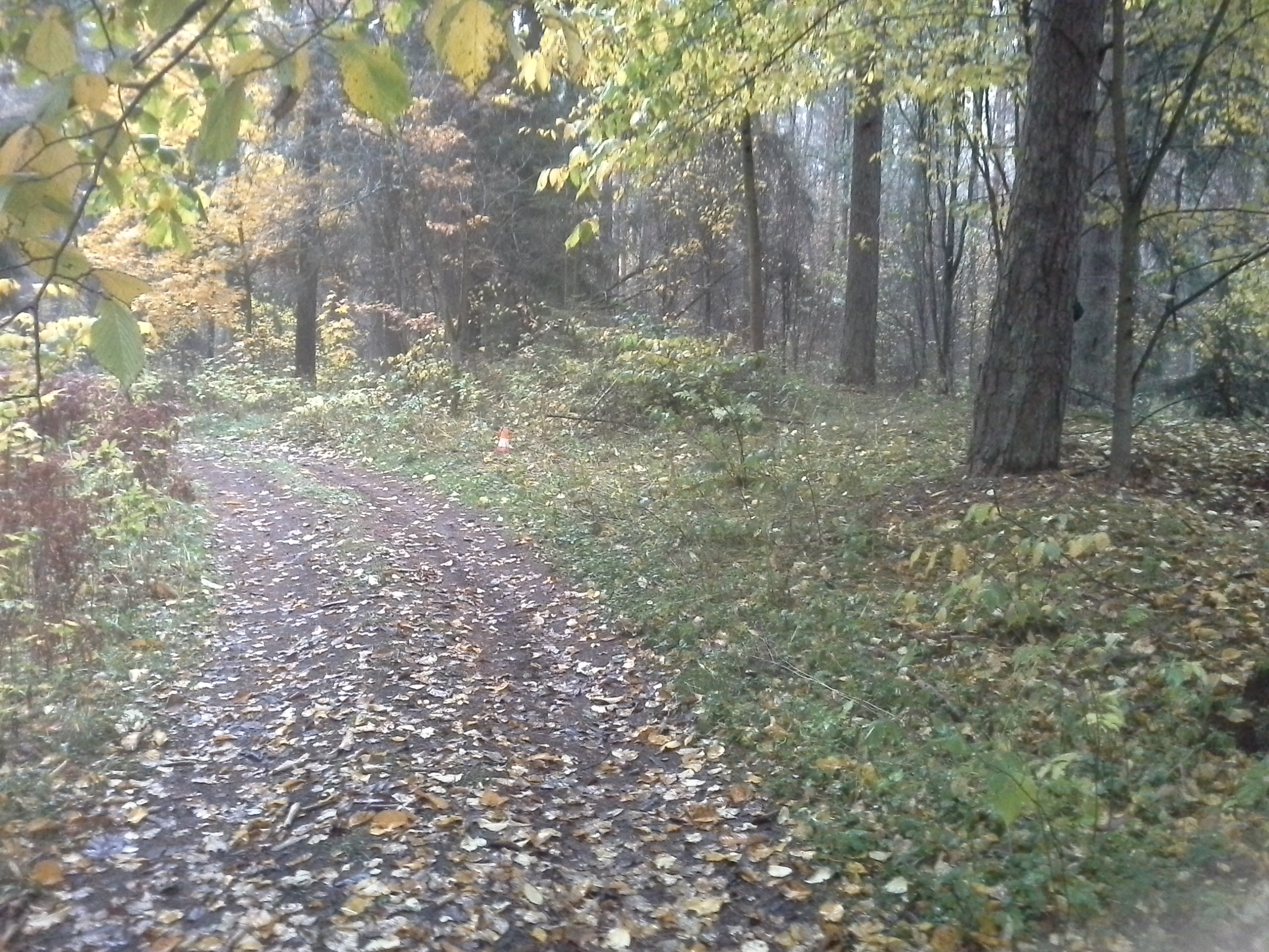 Apkārtnes foto