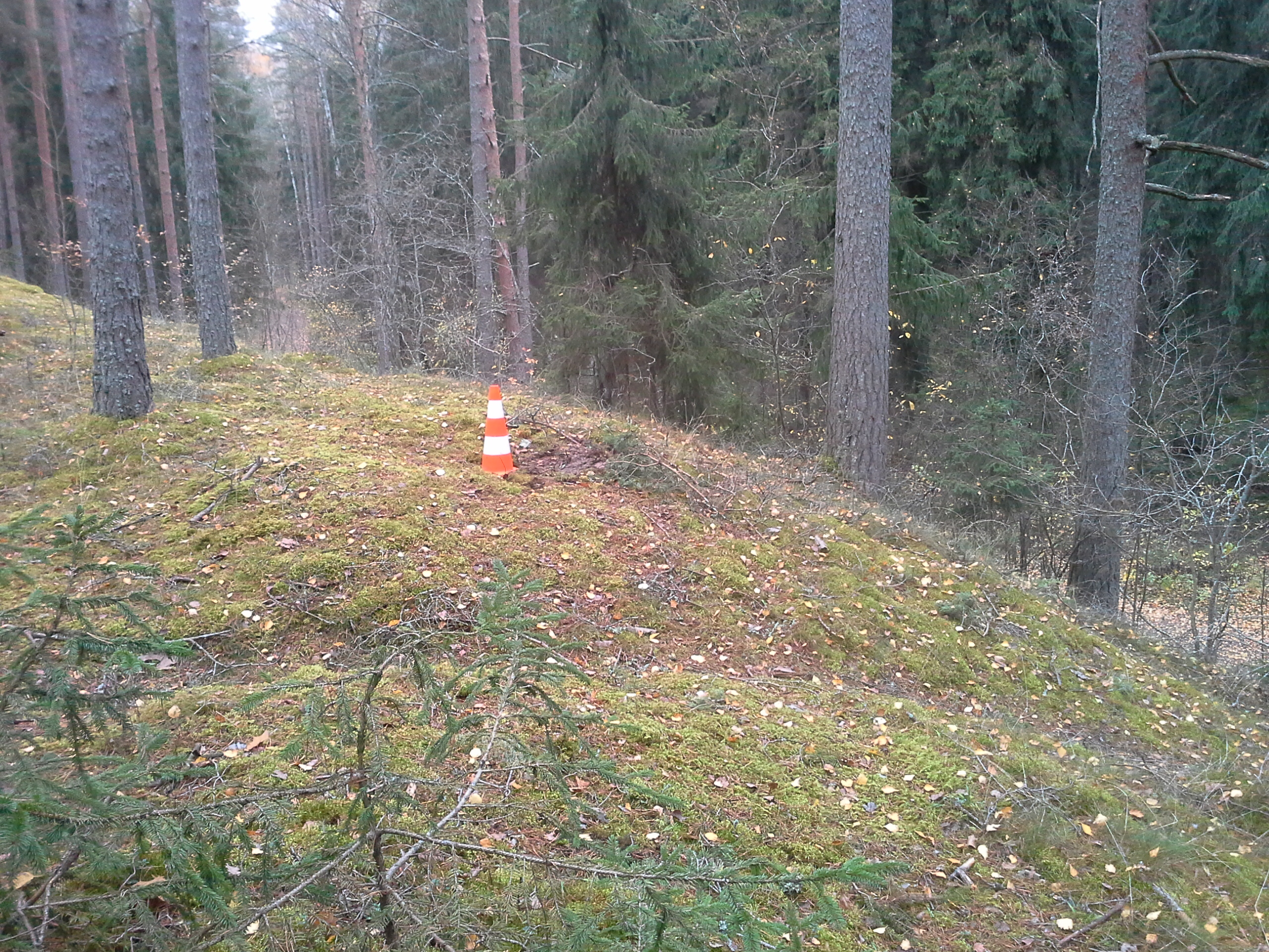 Apkārtnes foto