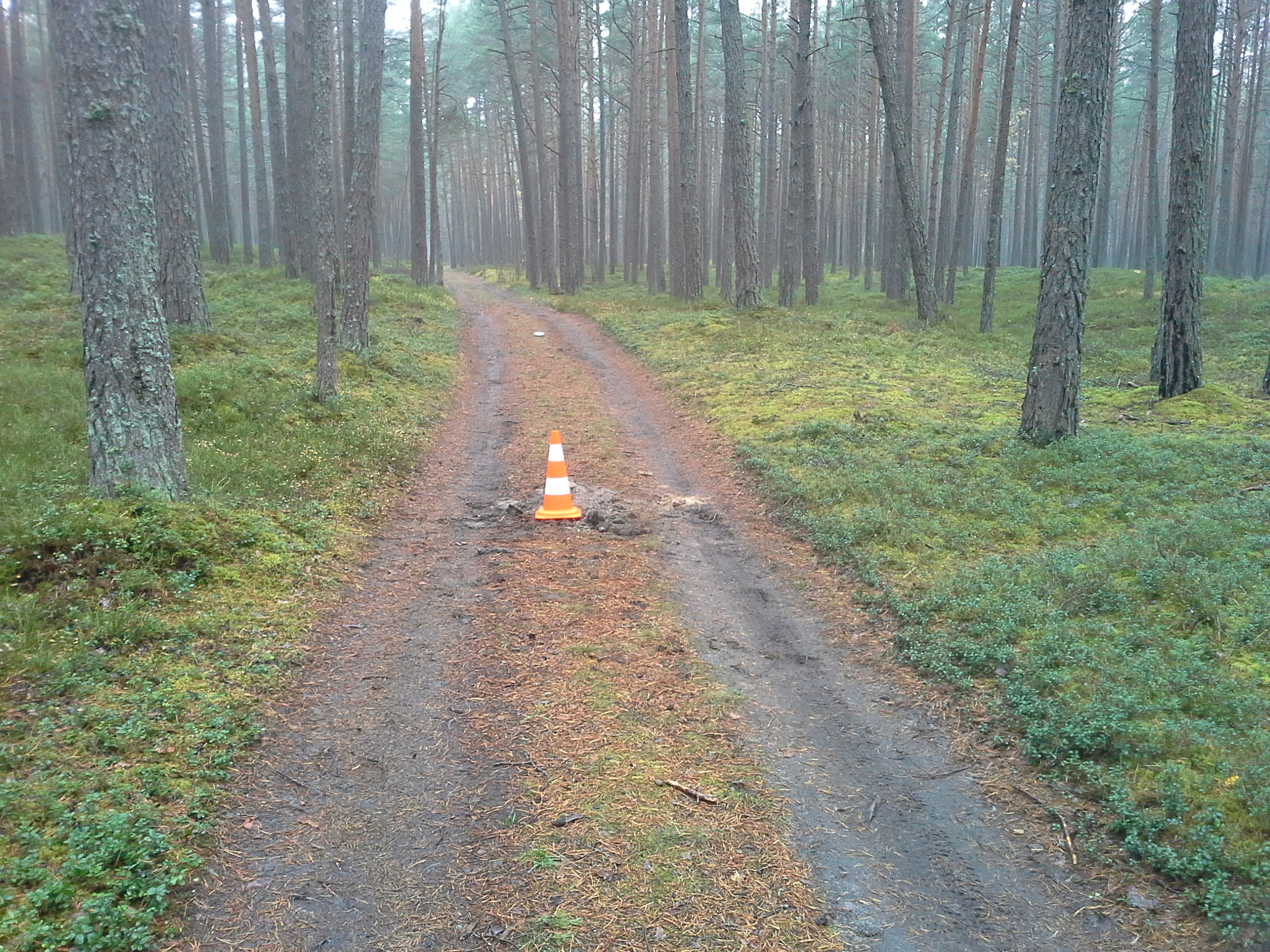 Apkārtnes foto