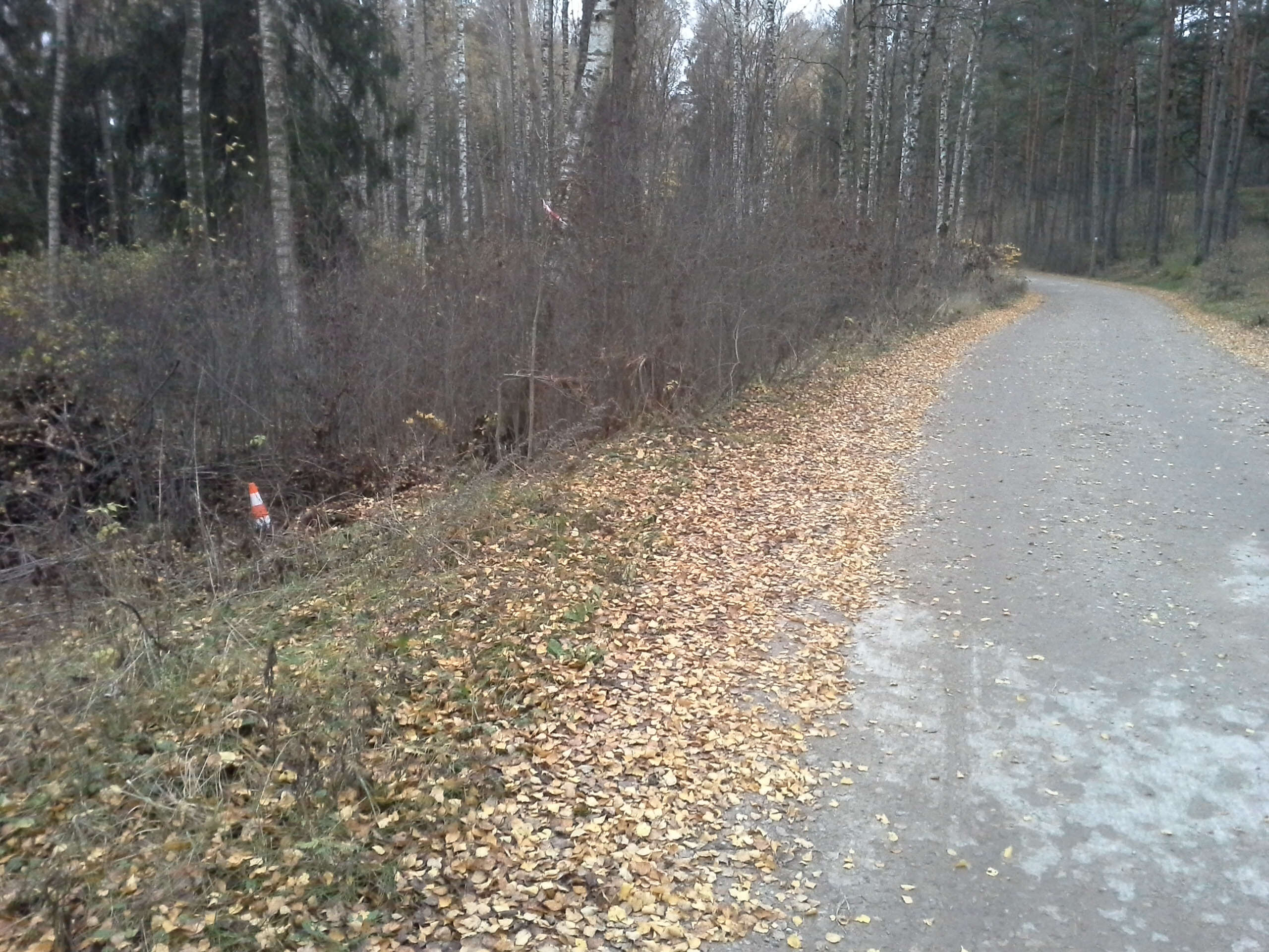 Apkārtnes foto