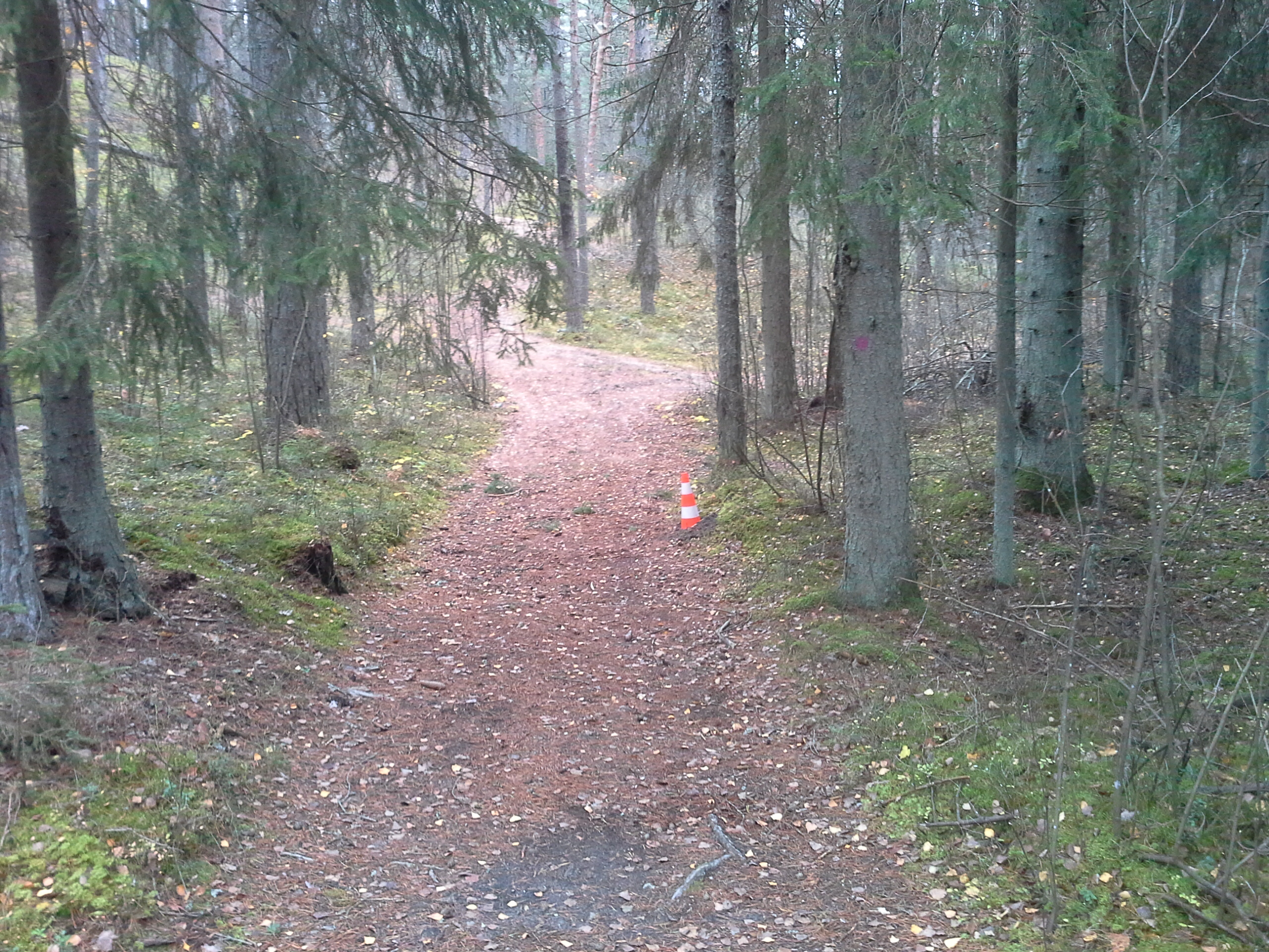 Apkārtnes foto