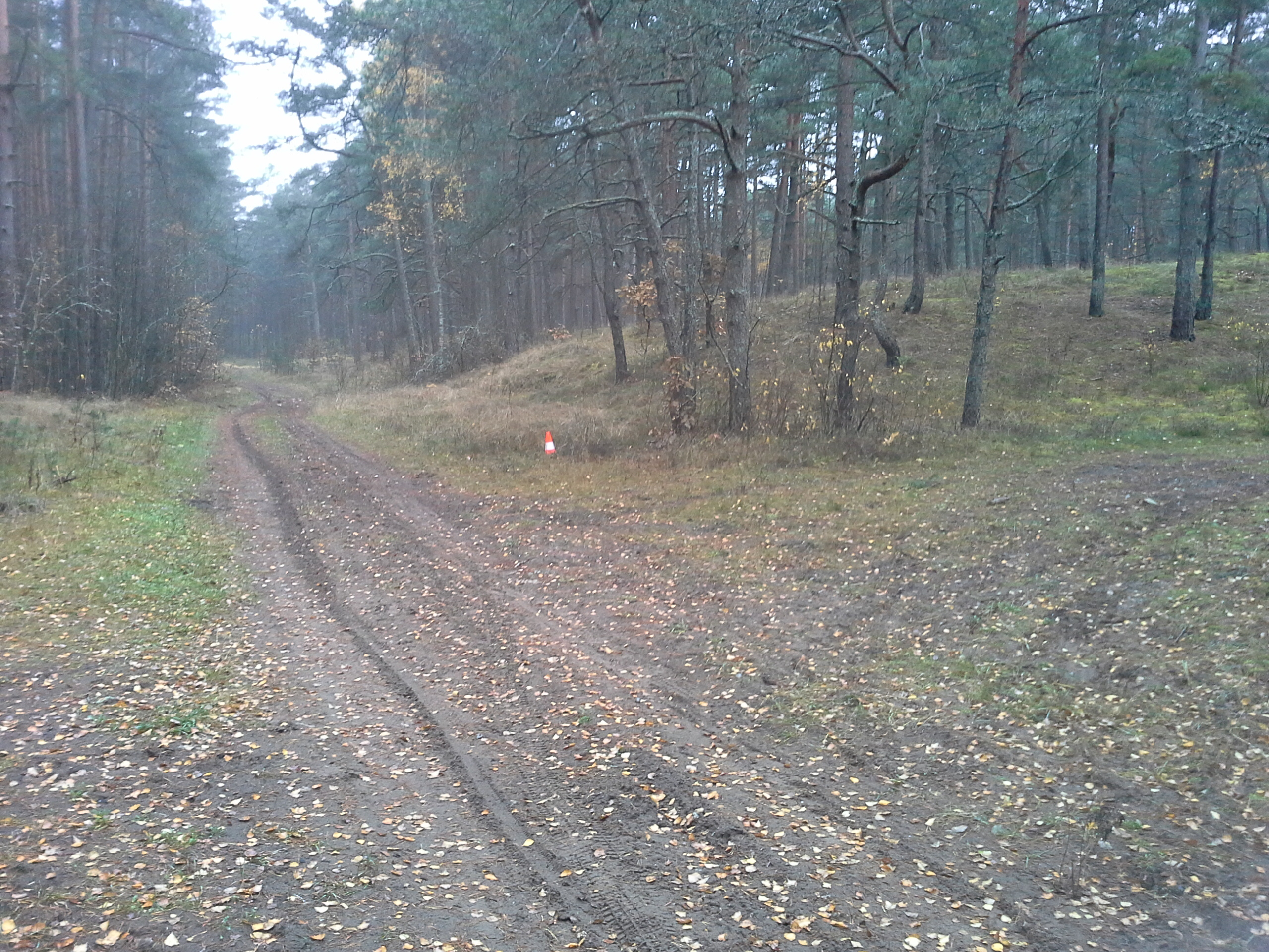 Apkārtnes foto
