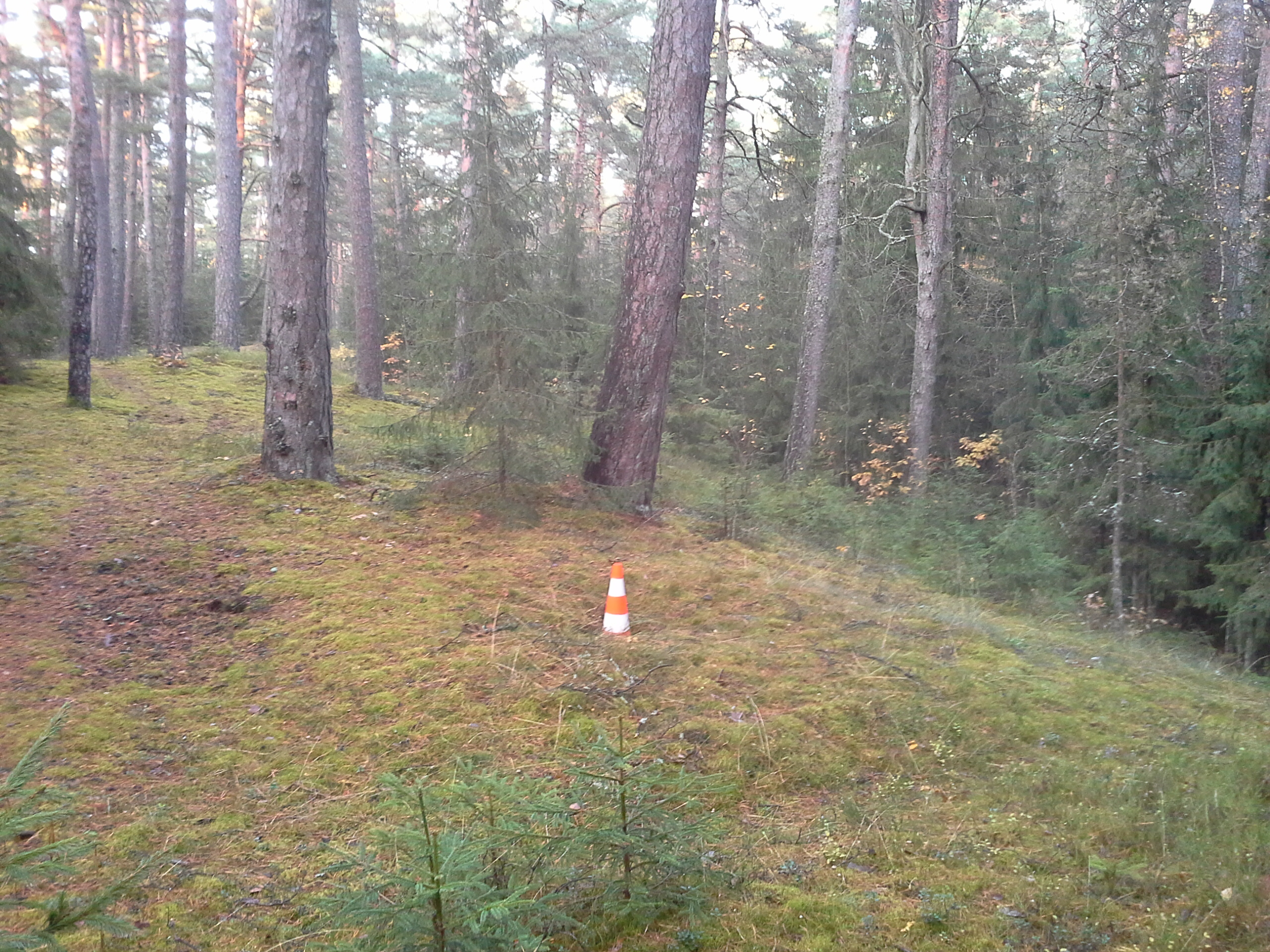 Apkārtnes foto