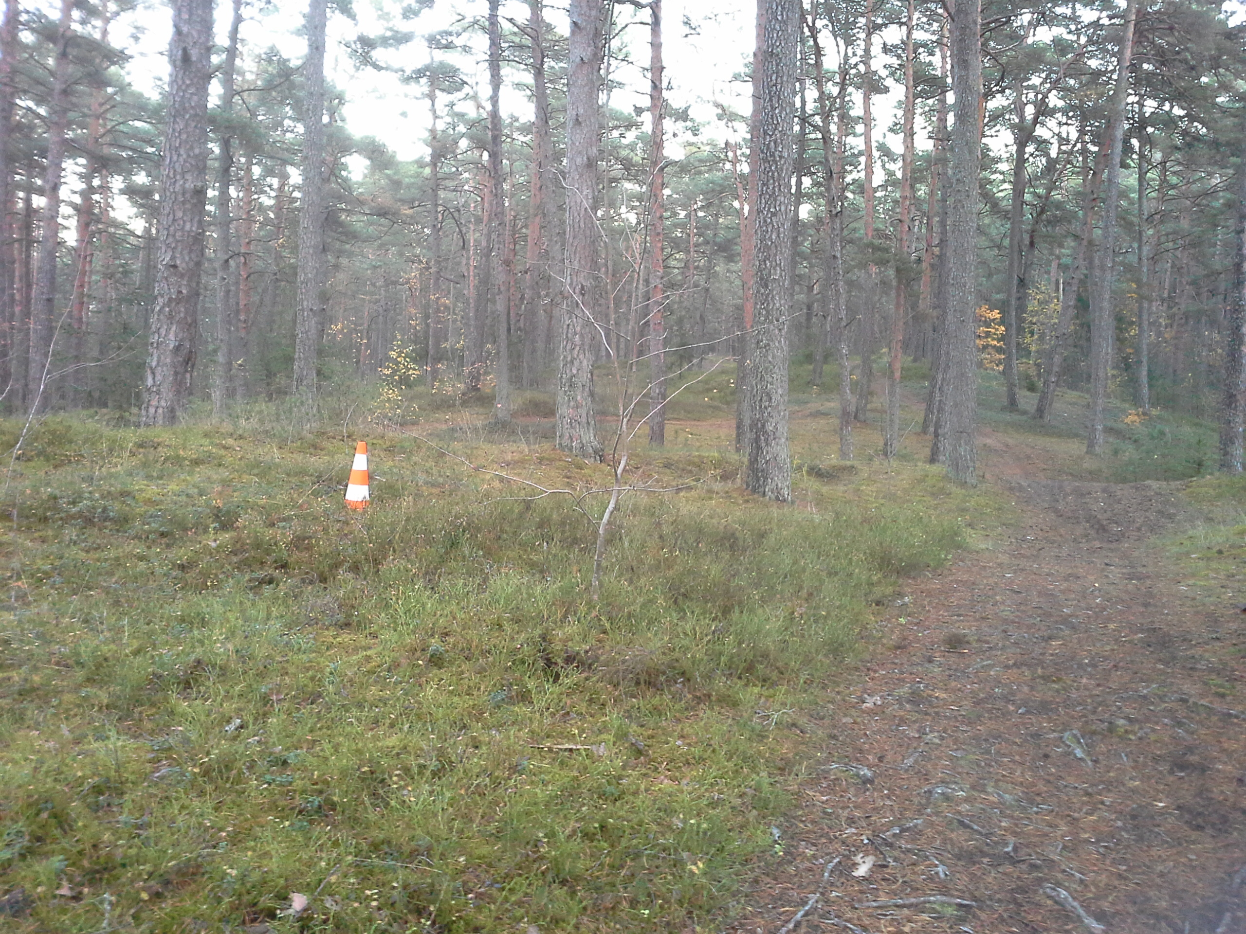 Apkārtnes foto
