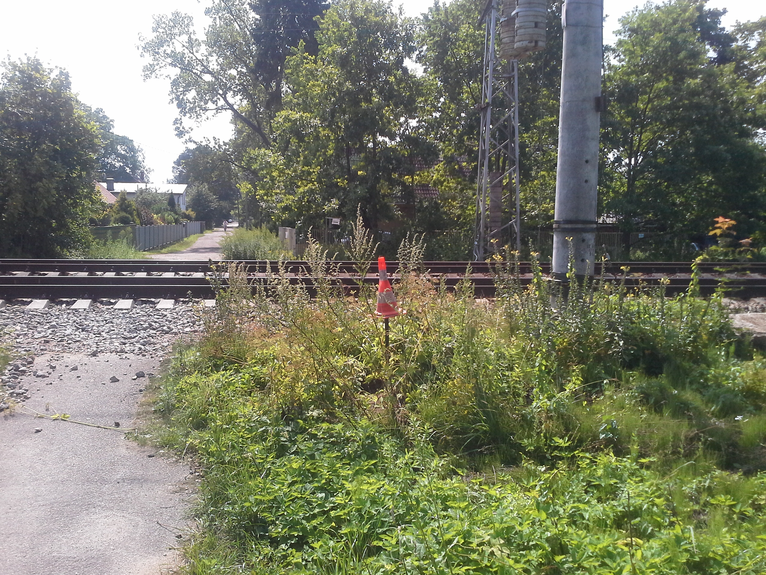 Apkārtnes foto