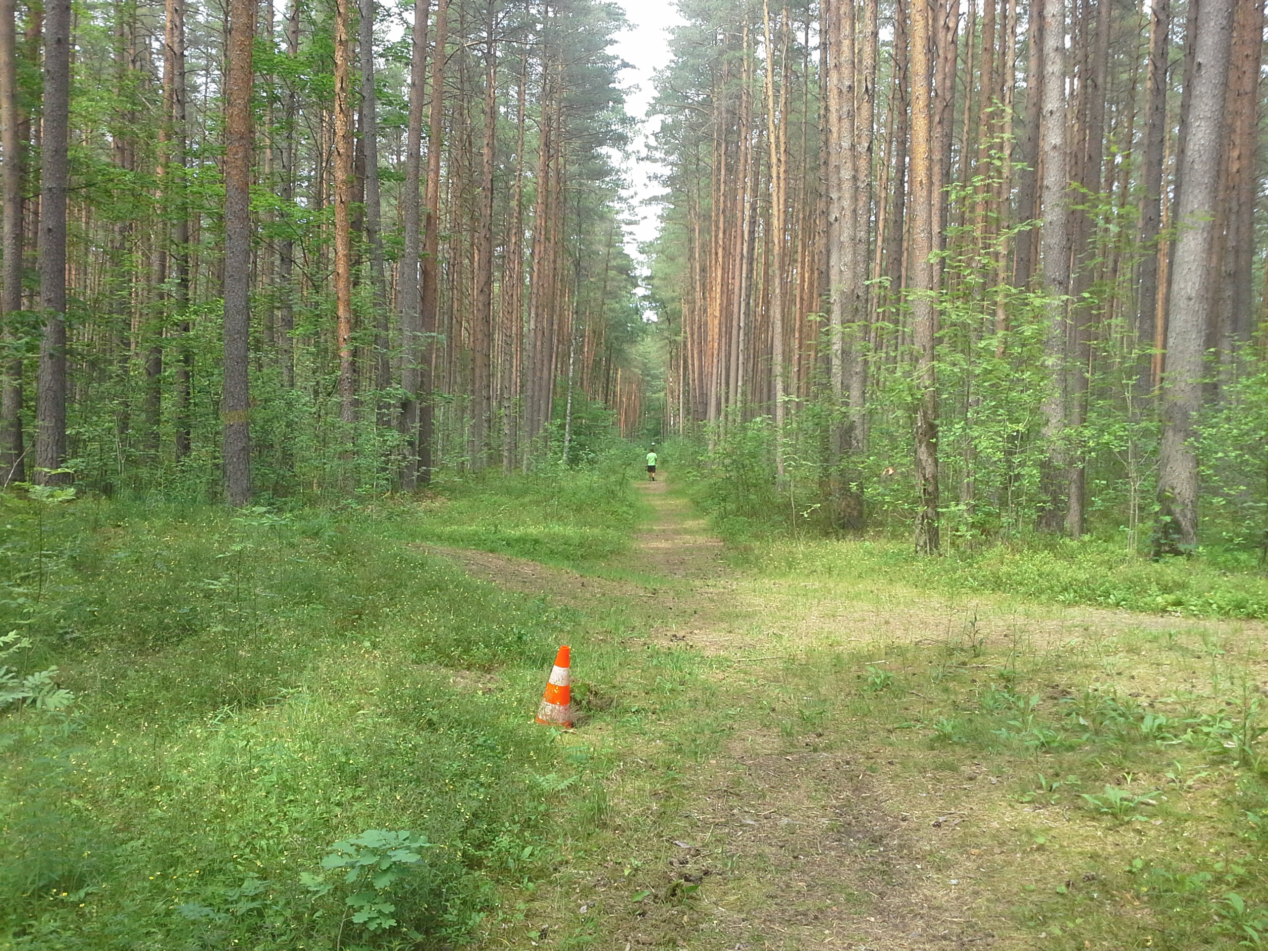 Apkārtnes foto
