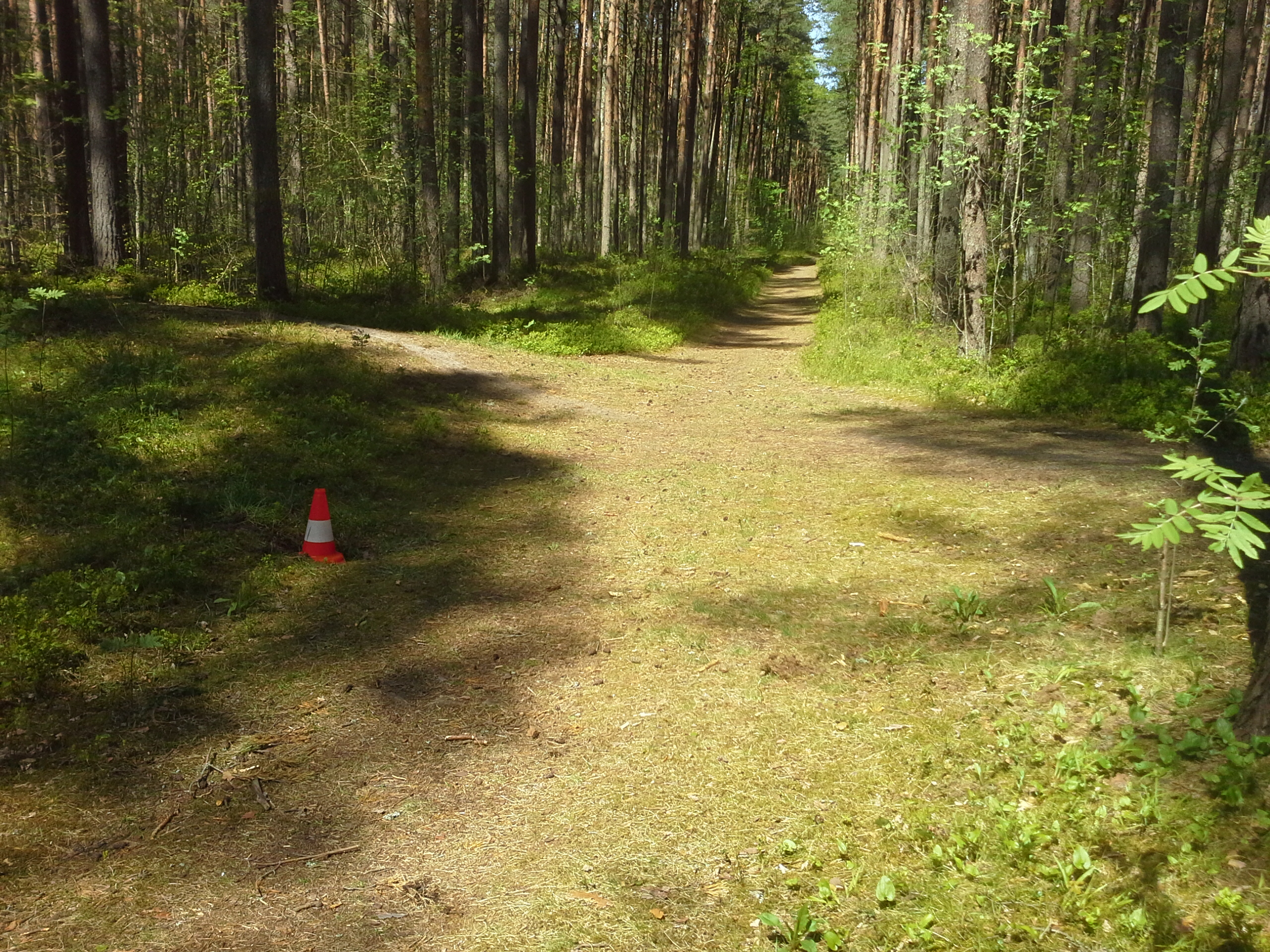 Apkārtnes foto
