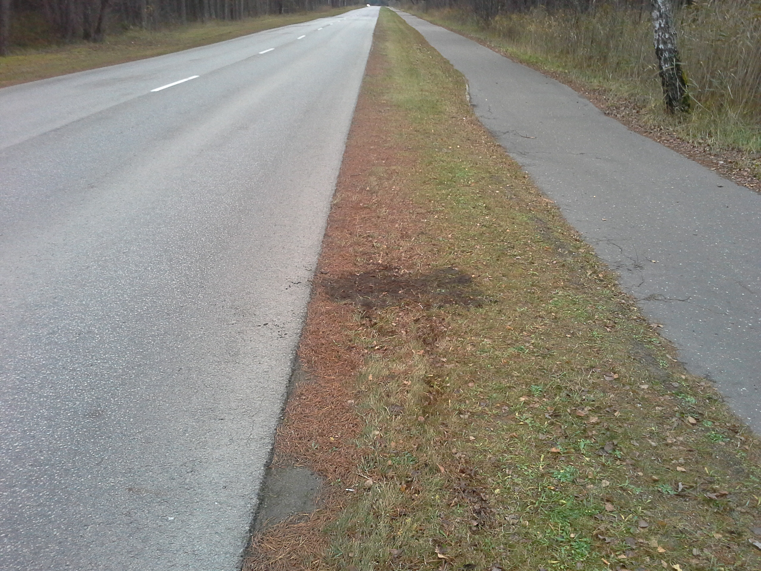Apkārtnes foto