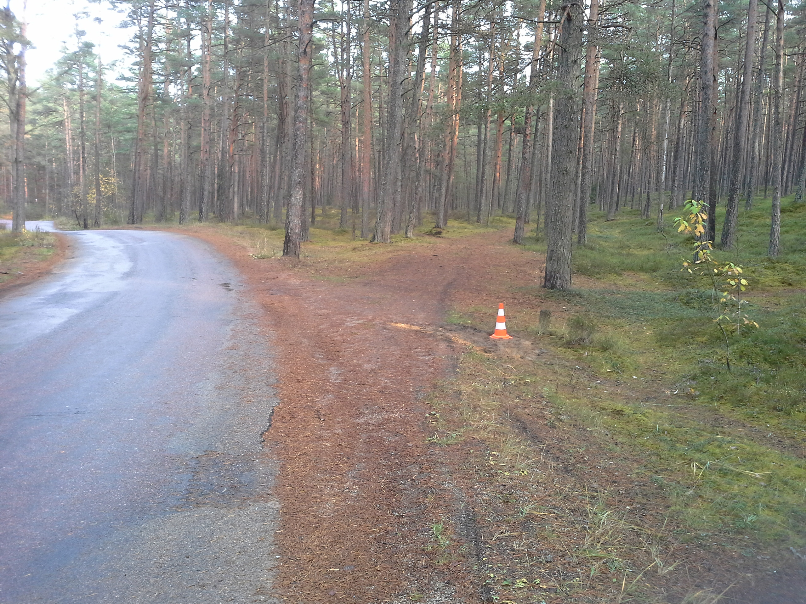 Apkārtnes foto