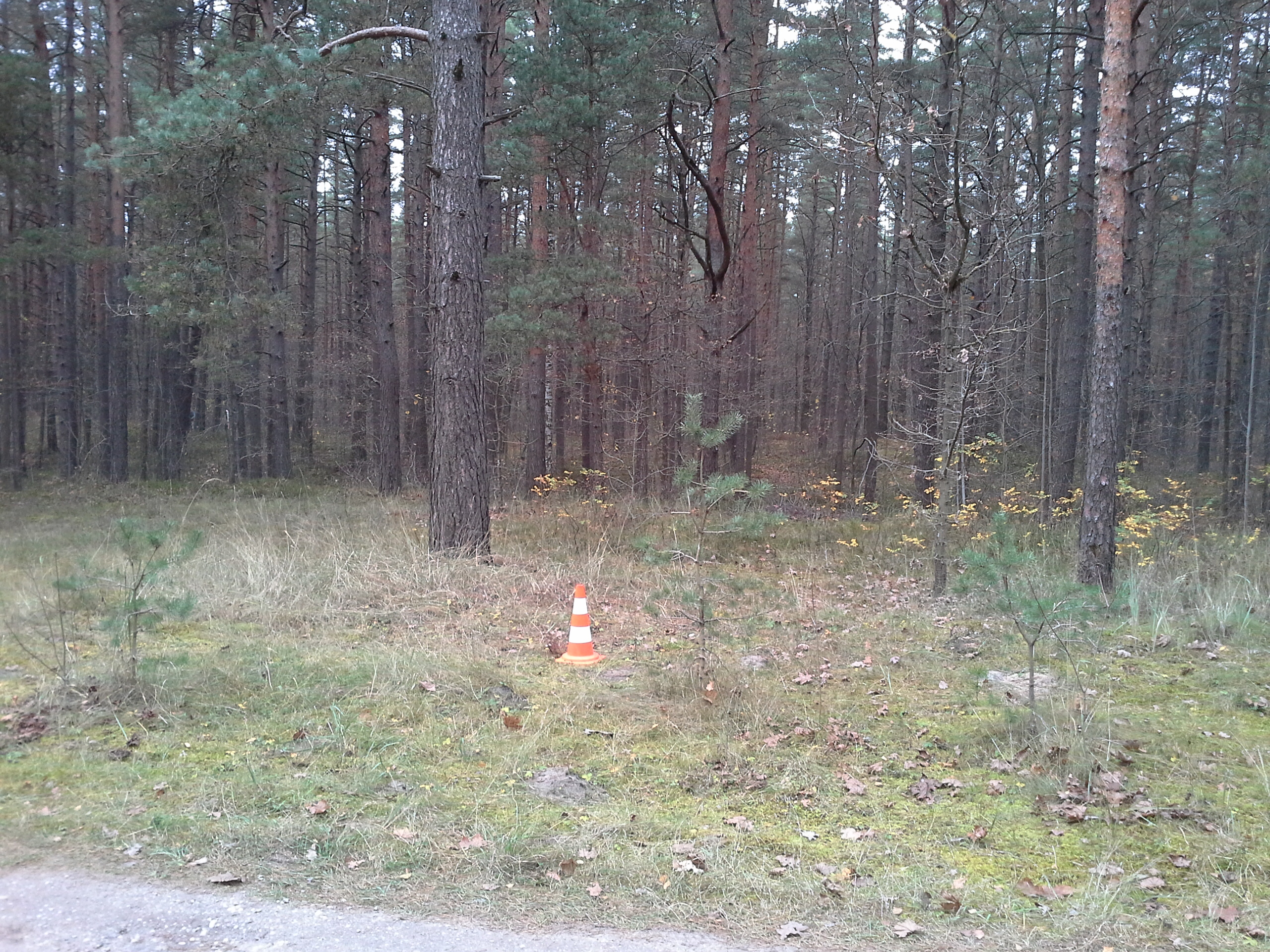 Apkārtnes foto