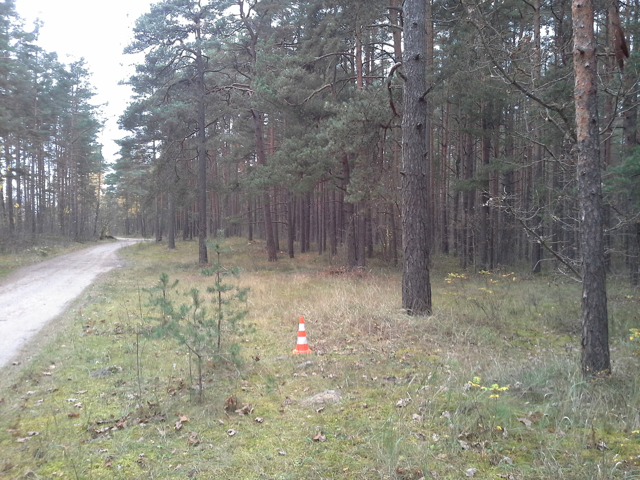Apkārtnes foto