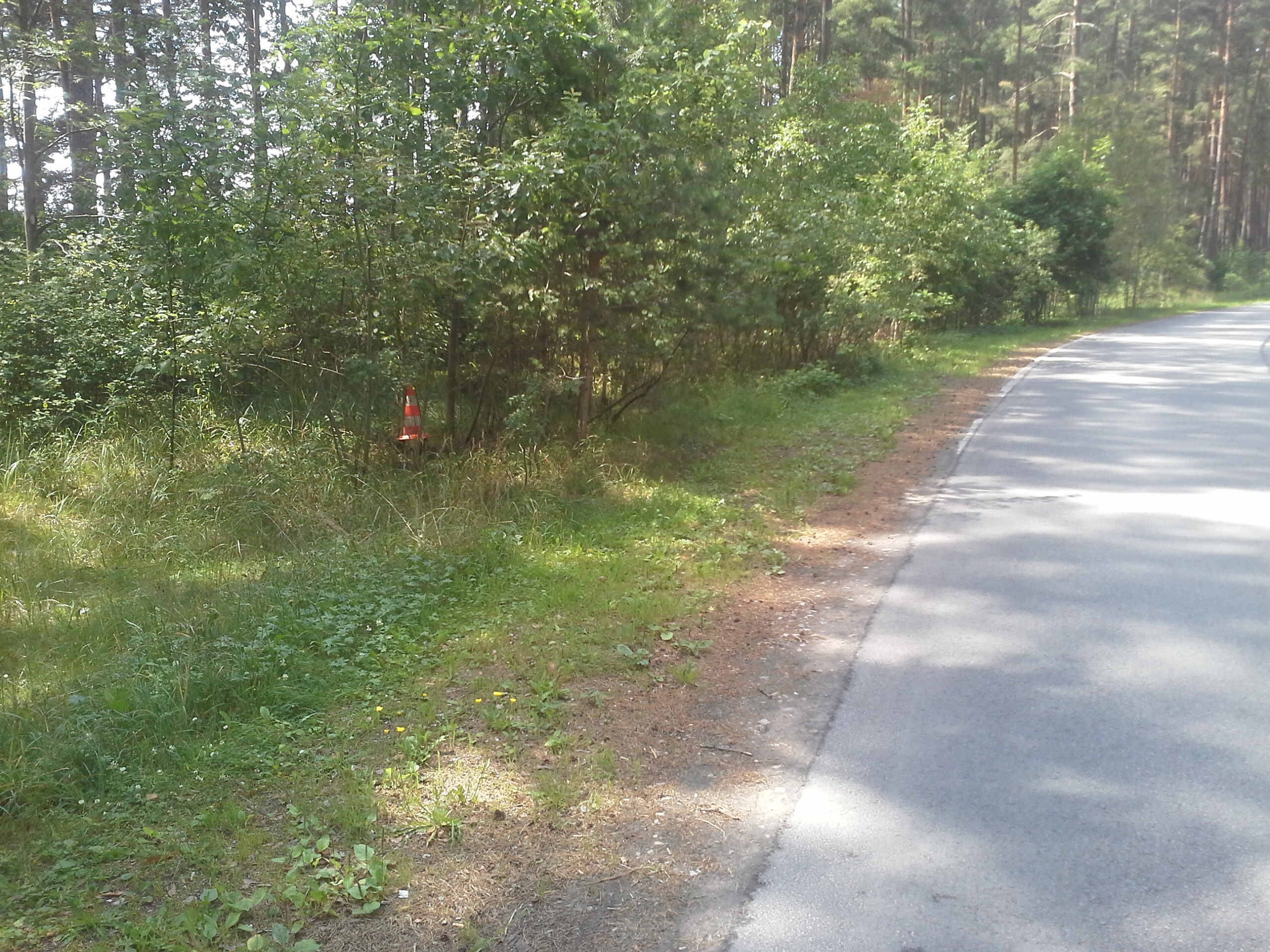 Apkārtnes foto