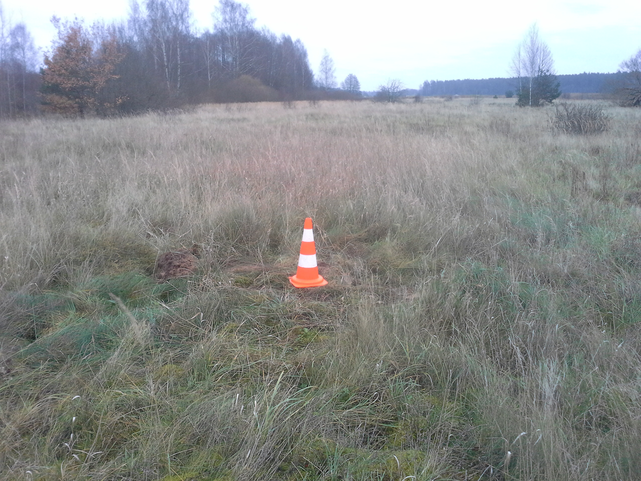 Apkārtnes foto