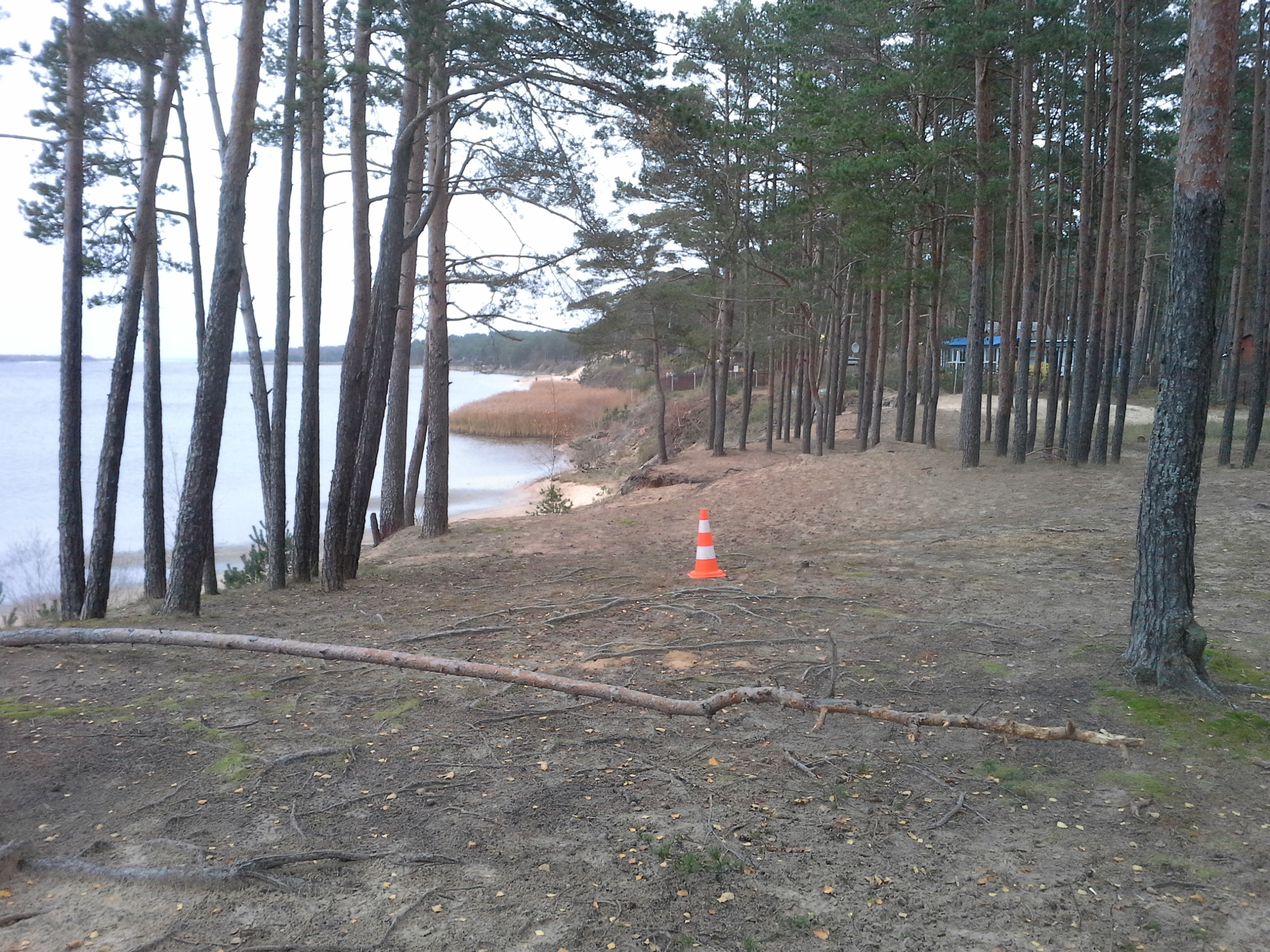 Apkārtnes foto