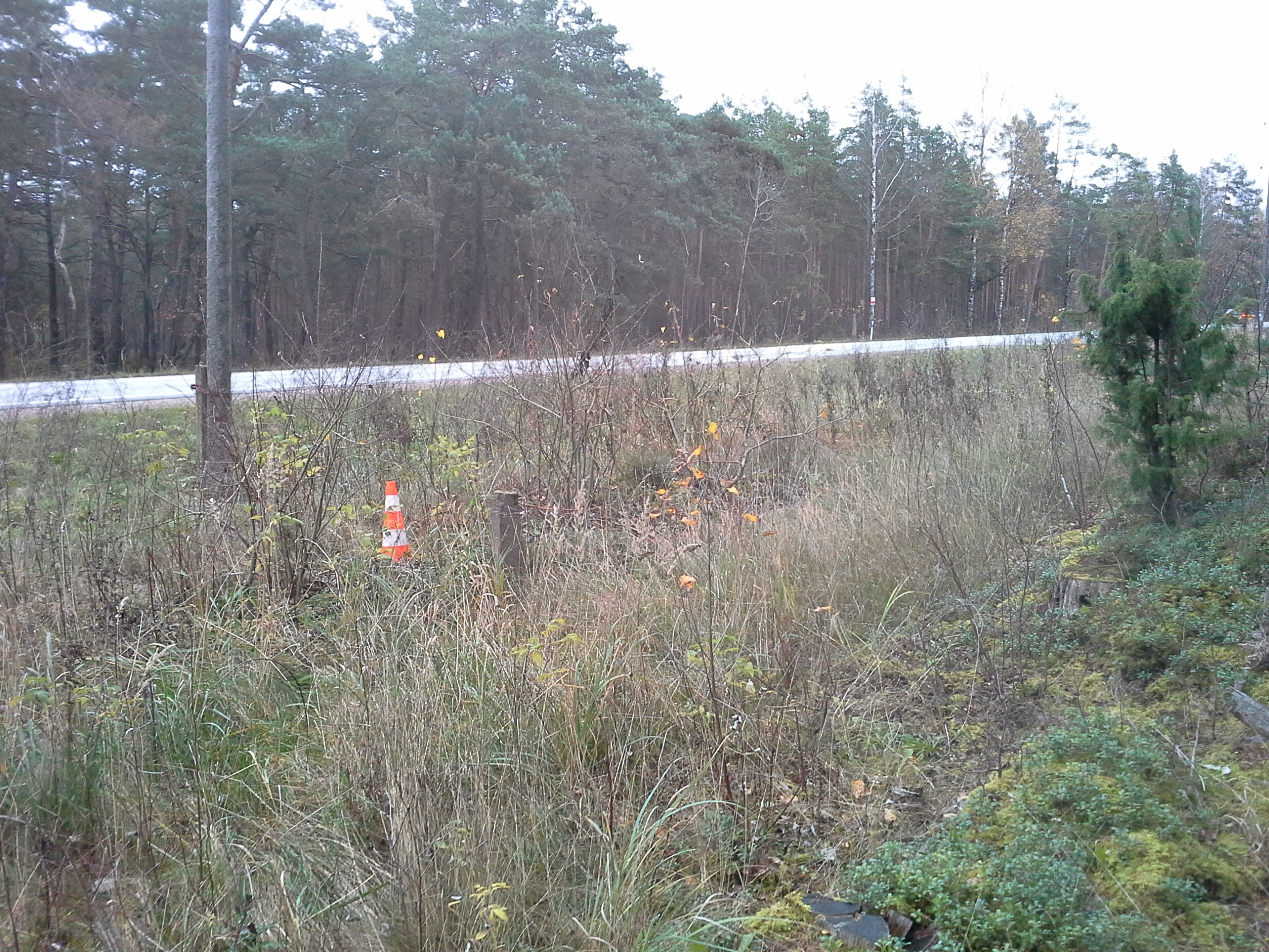 Apkārtnes foto
