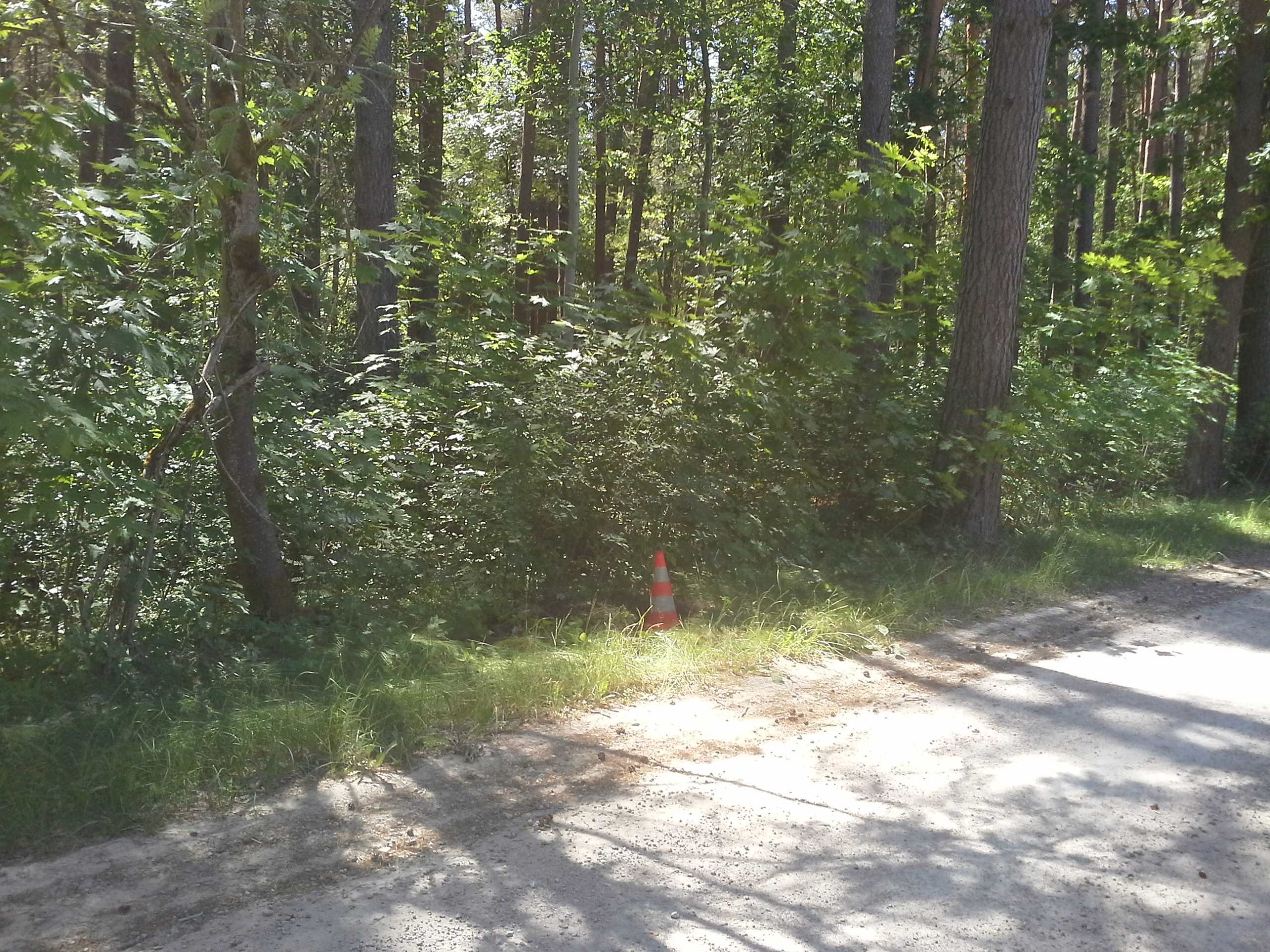 Apkārtnes foto