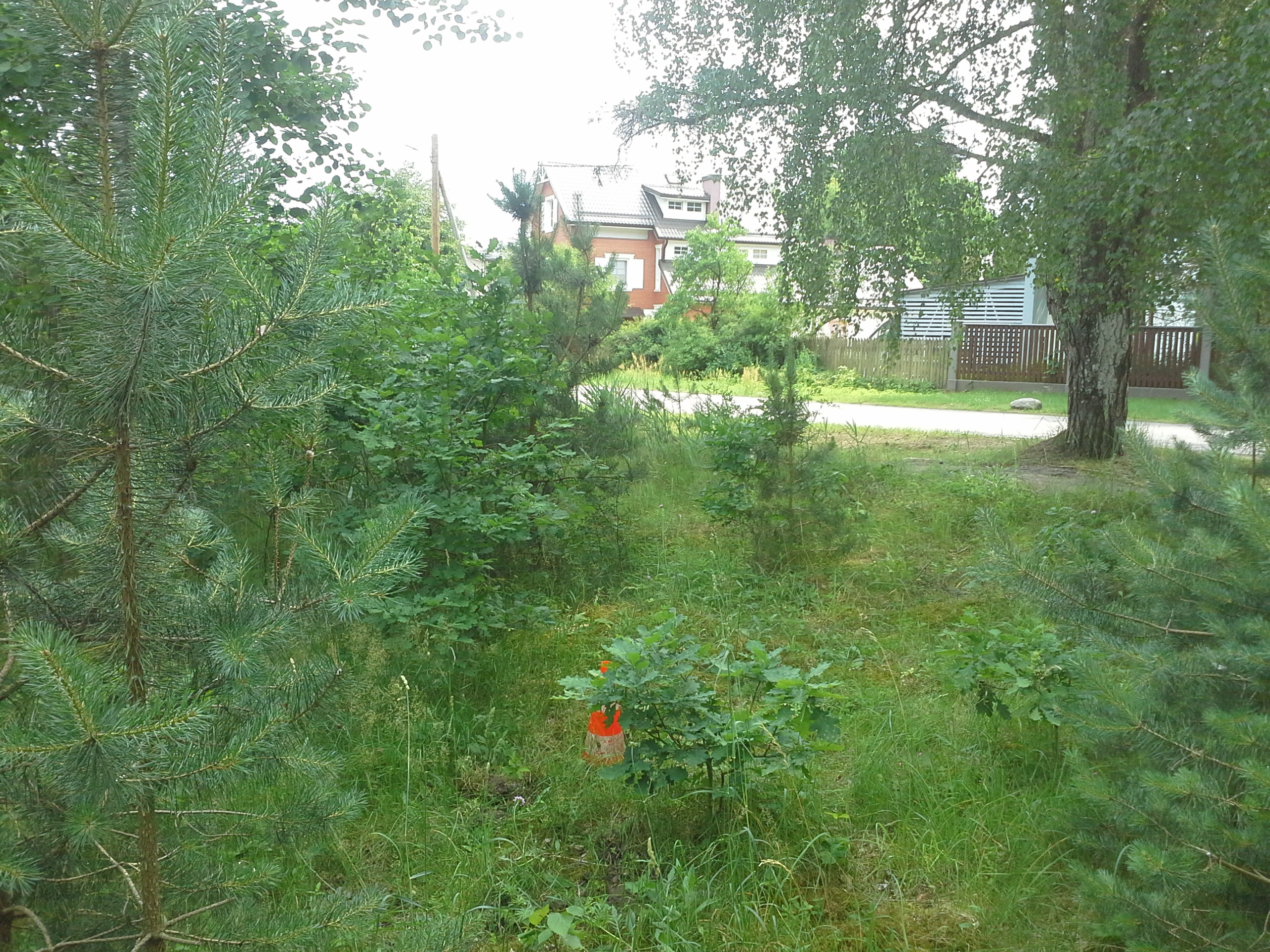 Apkārtnes foto