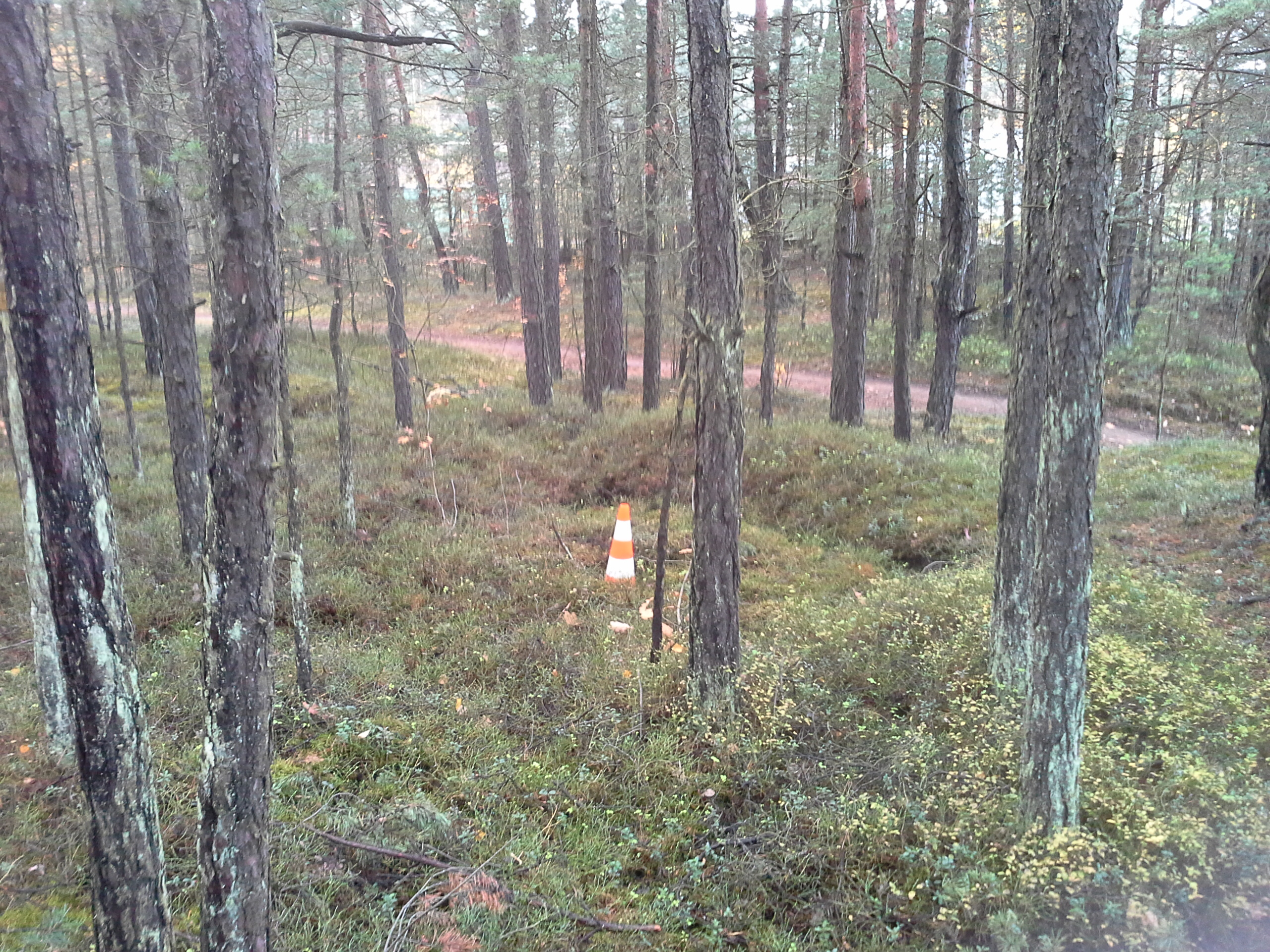 Apkārtnes foto