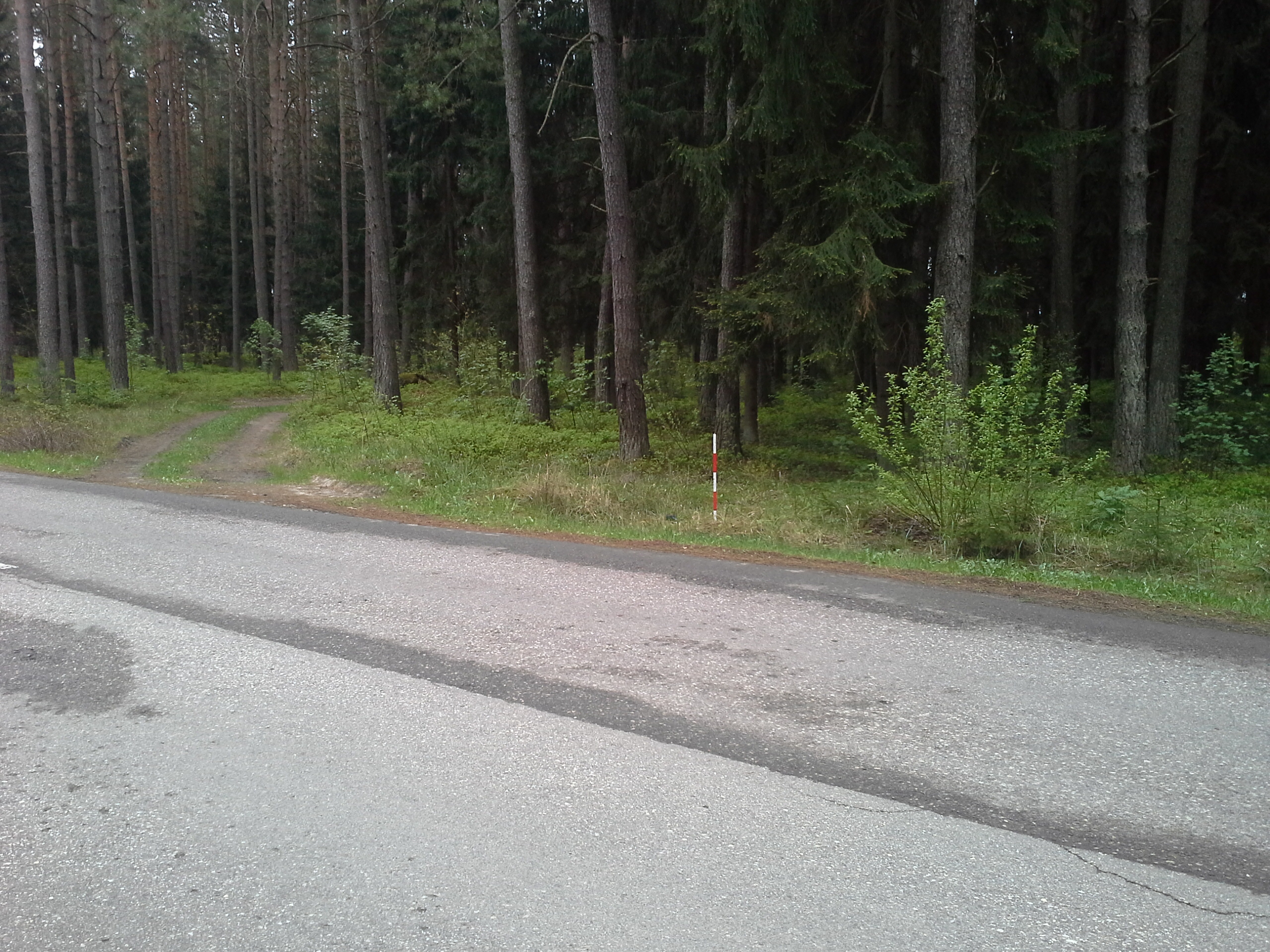 Apkārtnes foto