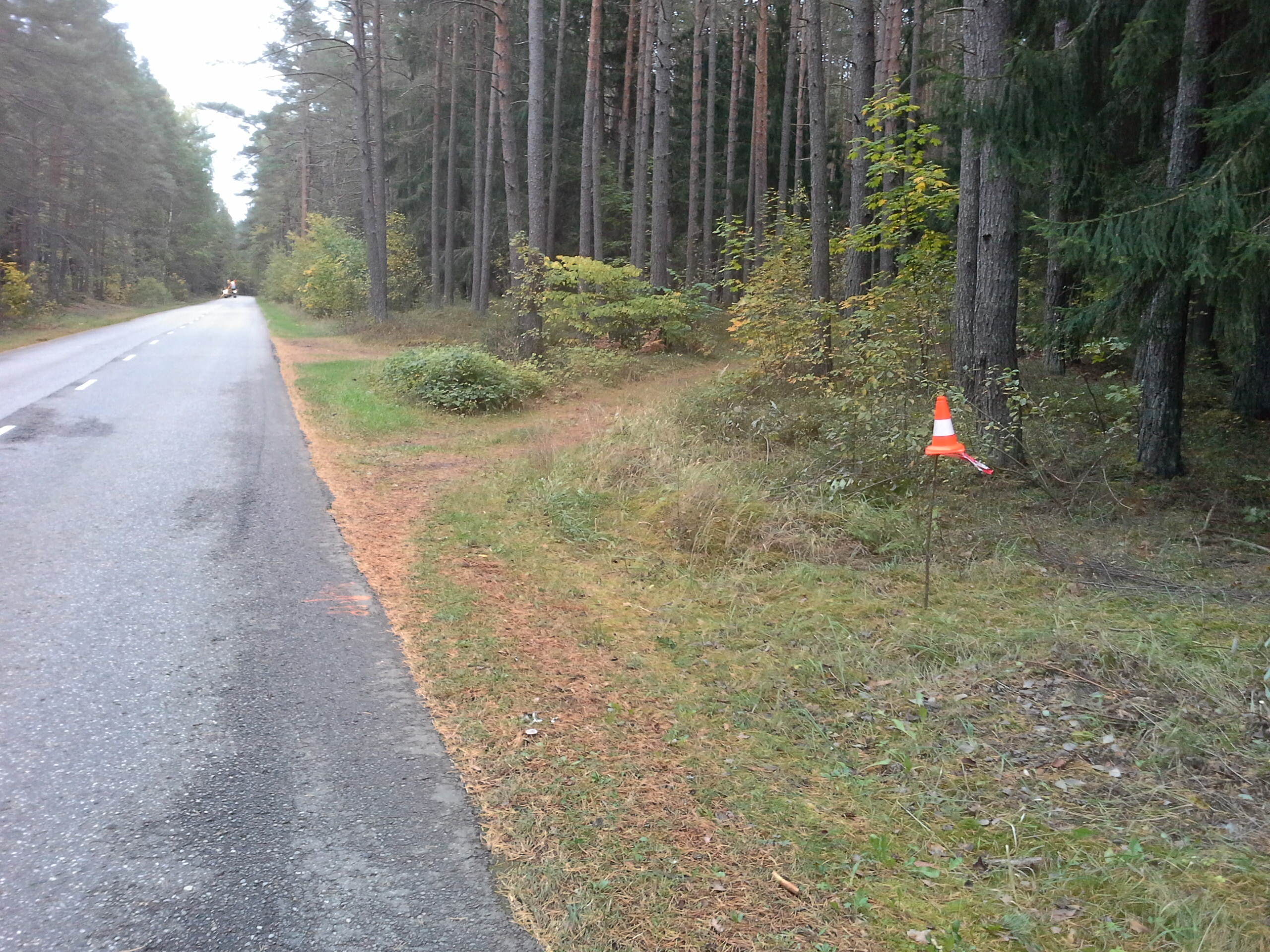 Apkārtnes foto