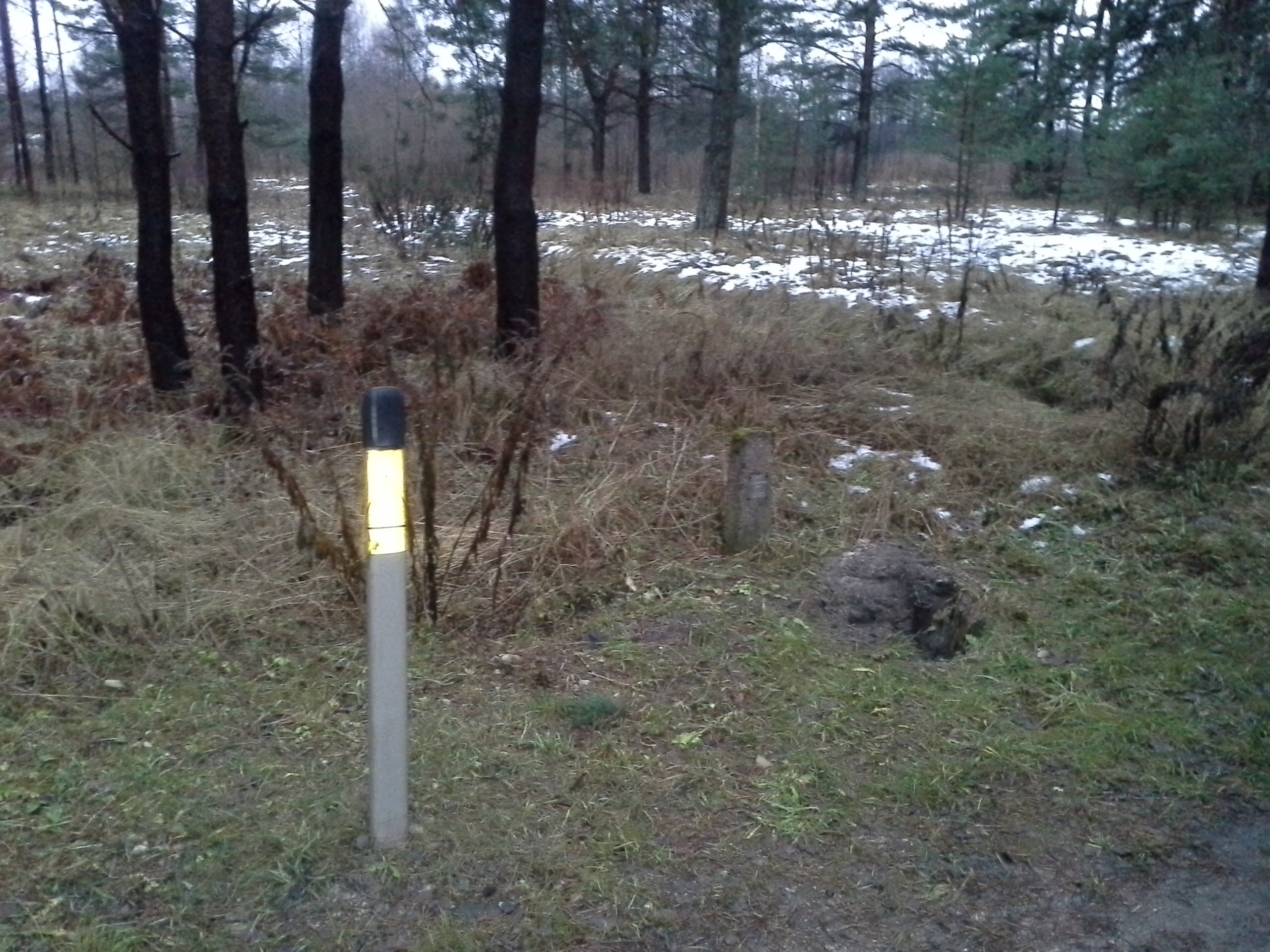 Apkārtnes foto
