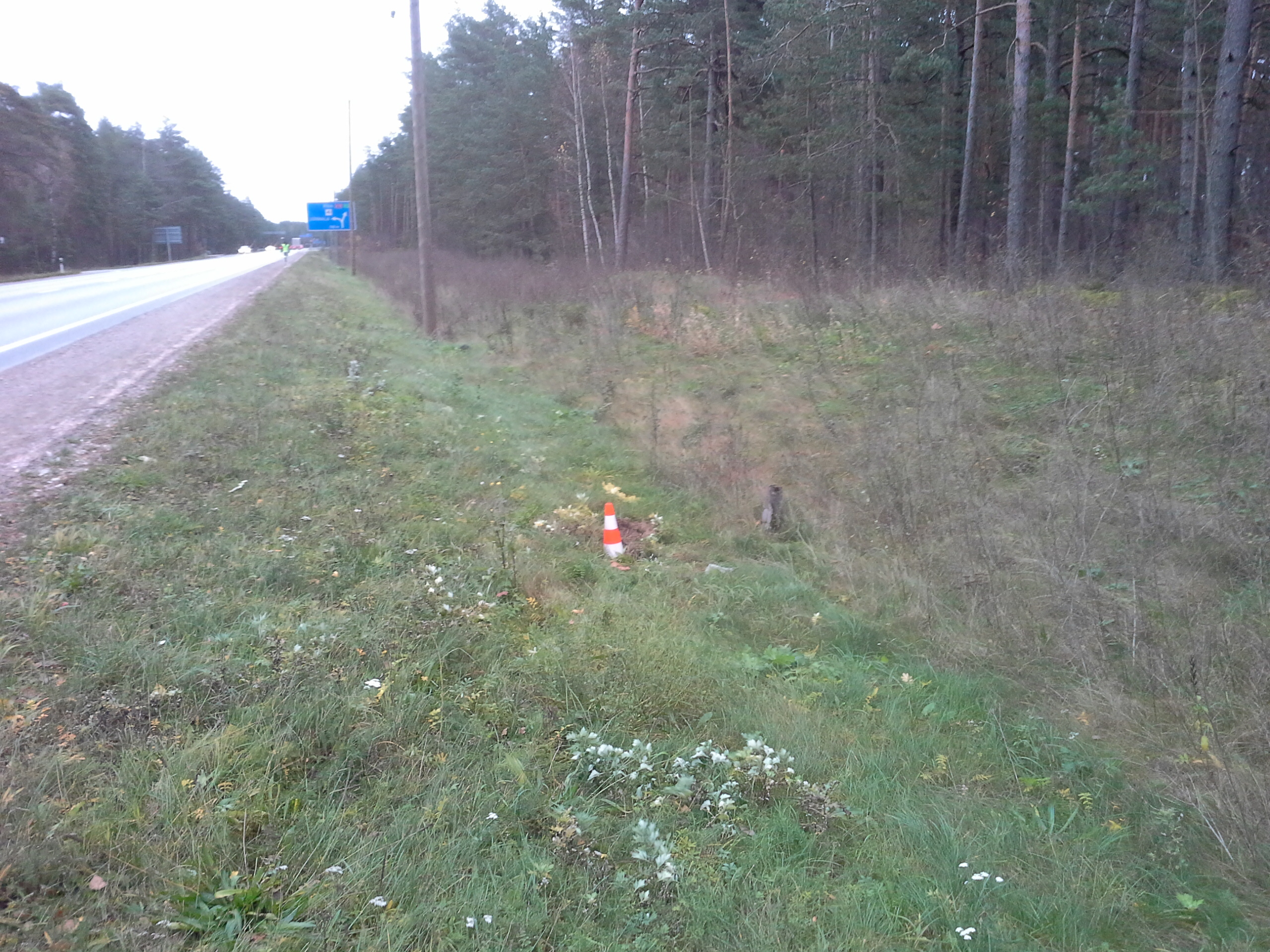 Apkārtnes foto