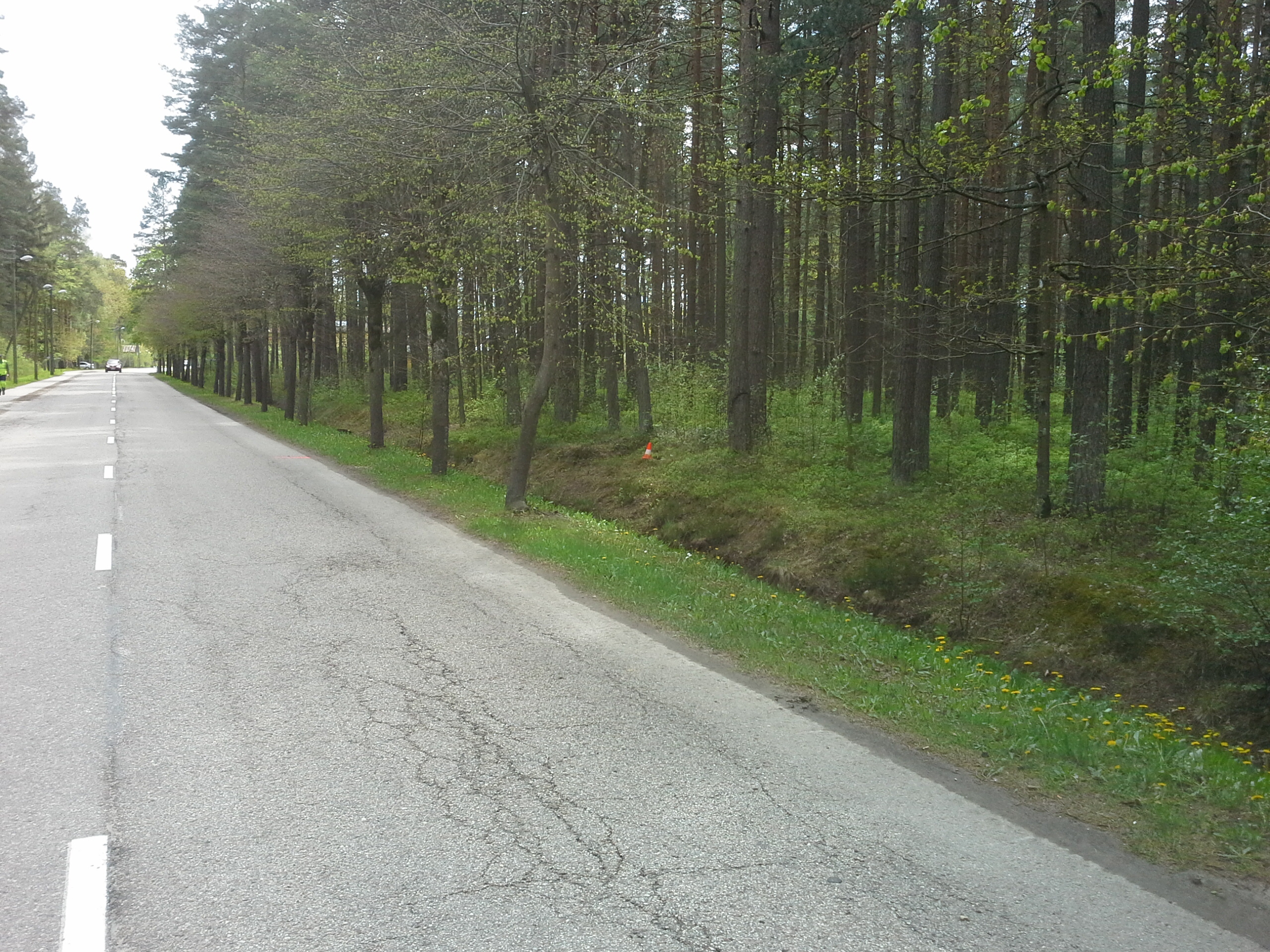 Apkārtnes foto
