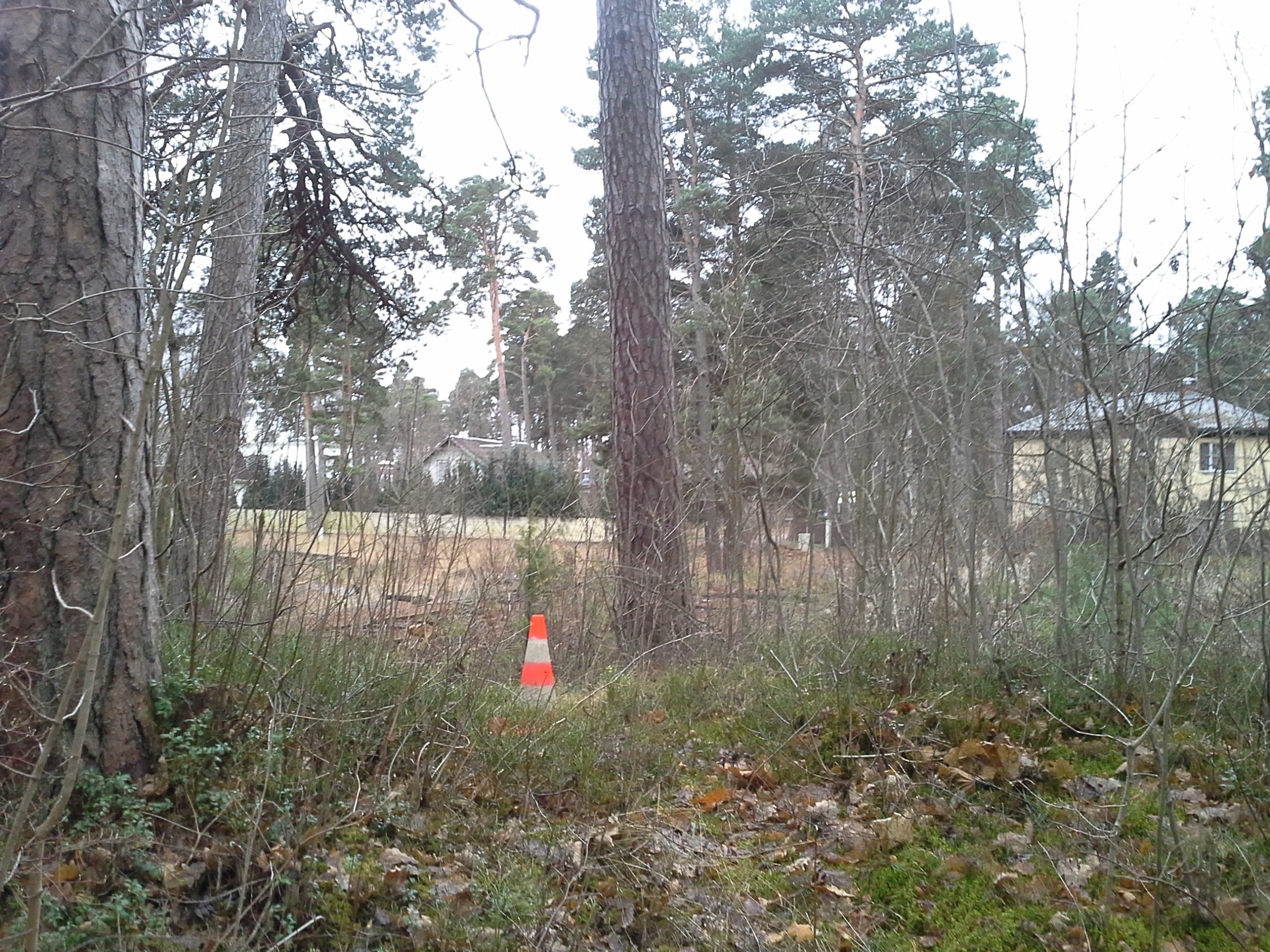 Apkārtnes foto