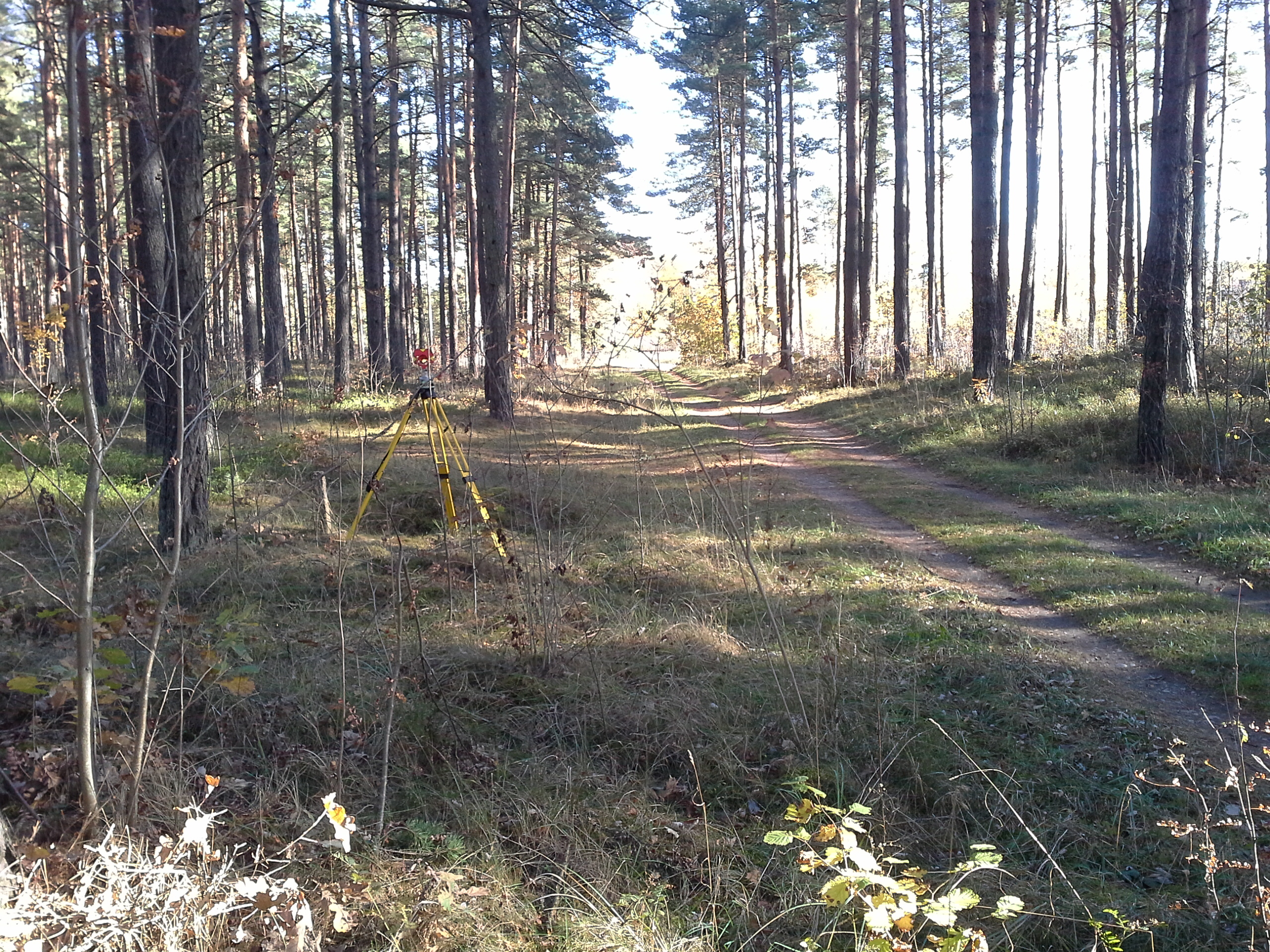 Apkārtnes foto