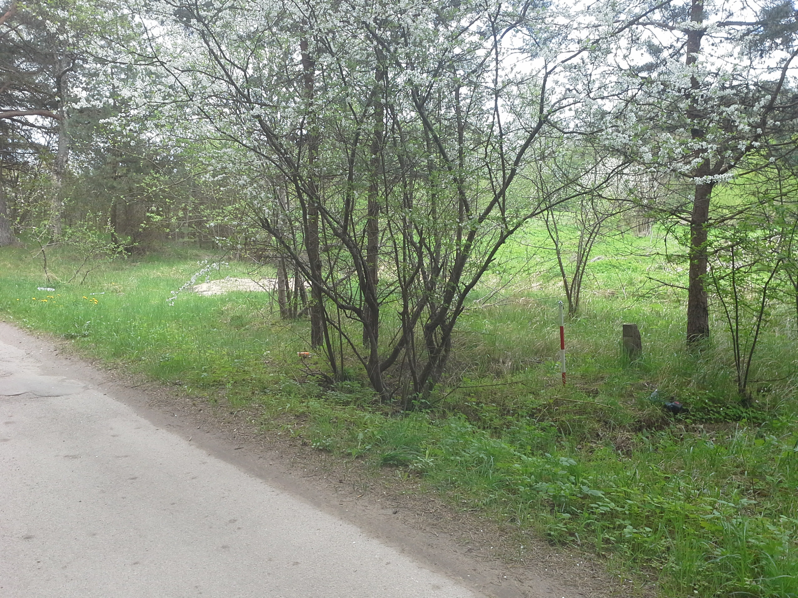 Apkārtnes foto