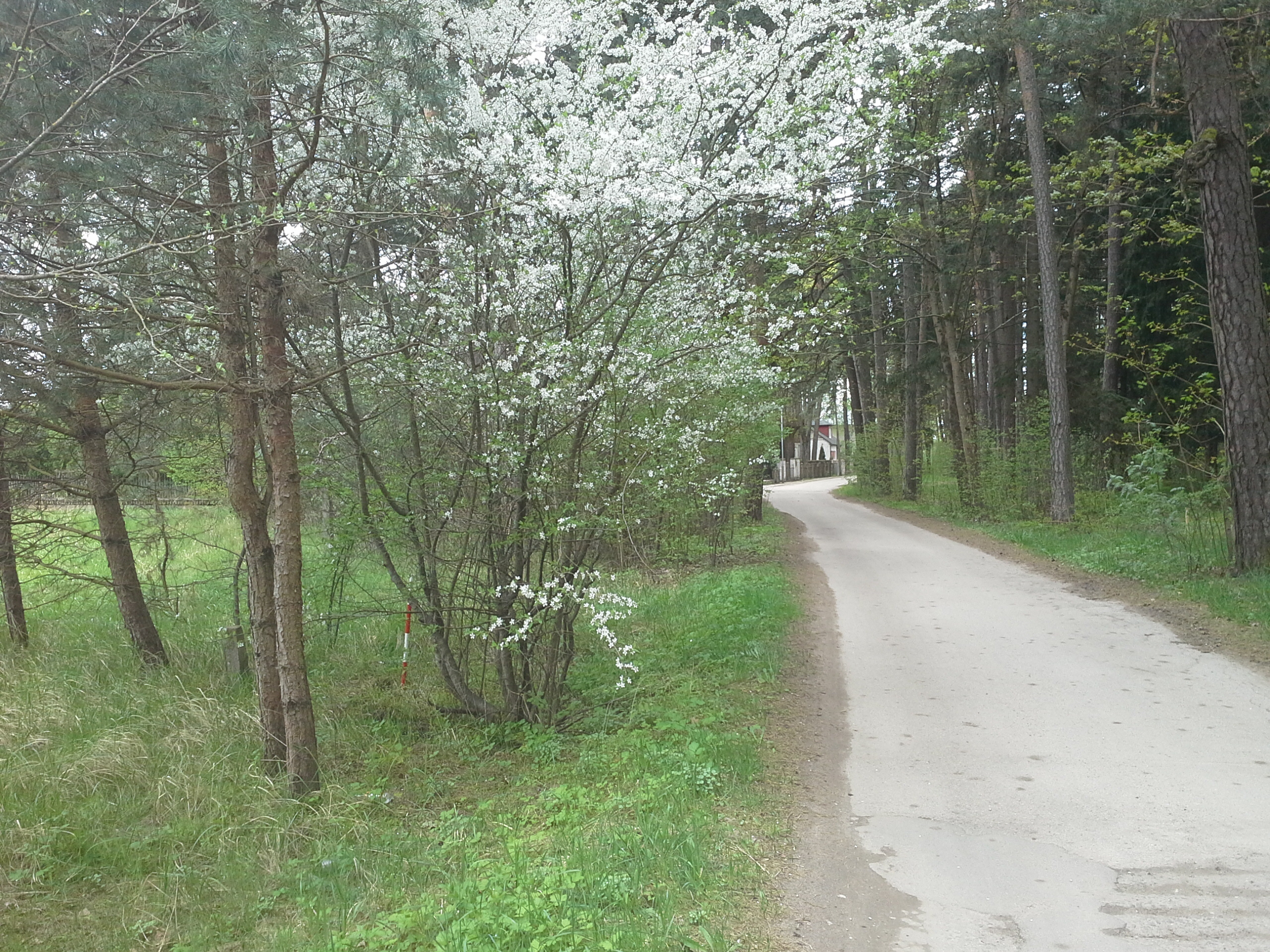 Apkārtnes foto